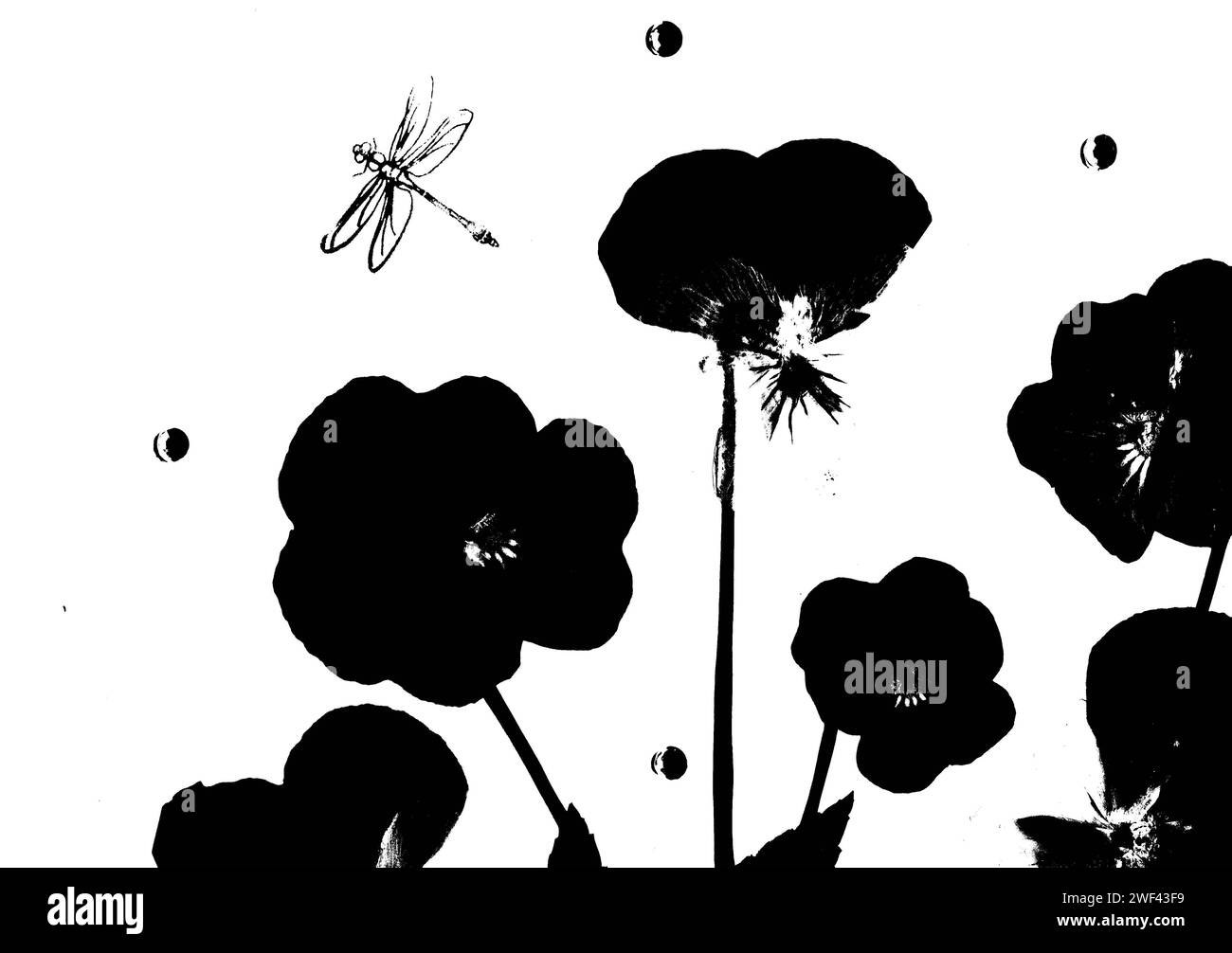 Fleurs d'été pressées et une libellule en silhouette noire isolée sur un fond blanc. Banque D'Images