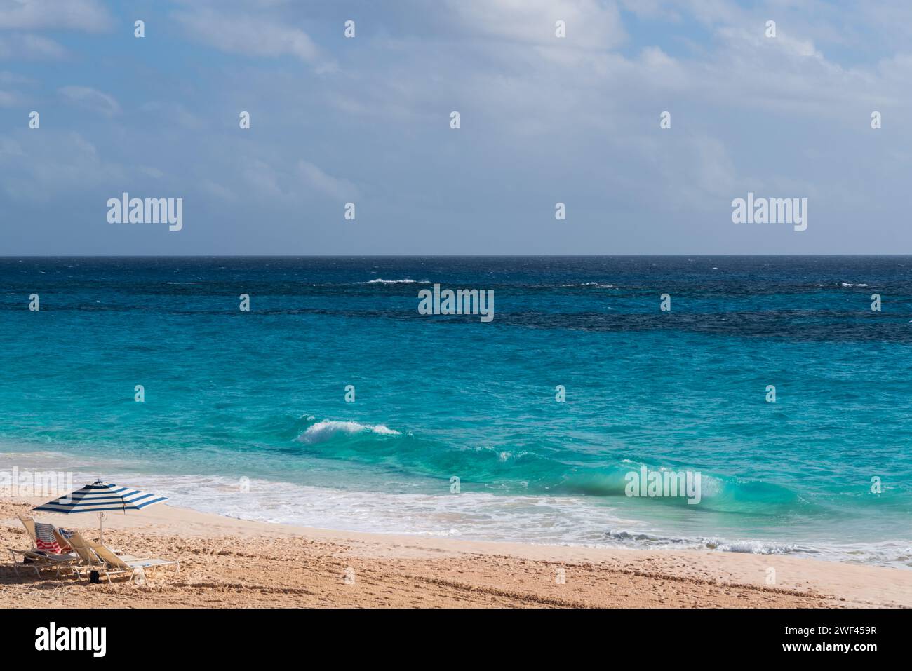 Plongez dans la beauté du paradis côtier des Bermudes, où les rives sablonneuses rencontrent la beauté azur de l'océan dans une évasion tropicale de bonheur en bord de mer. Banque D'Images