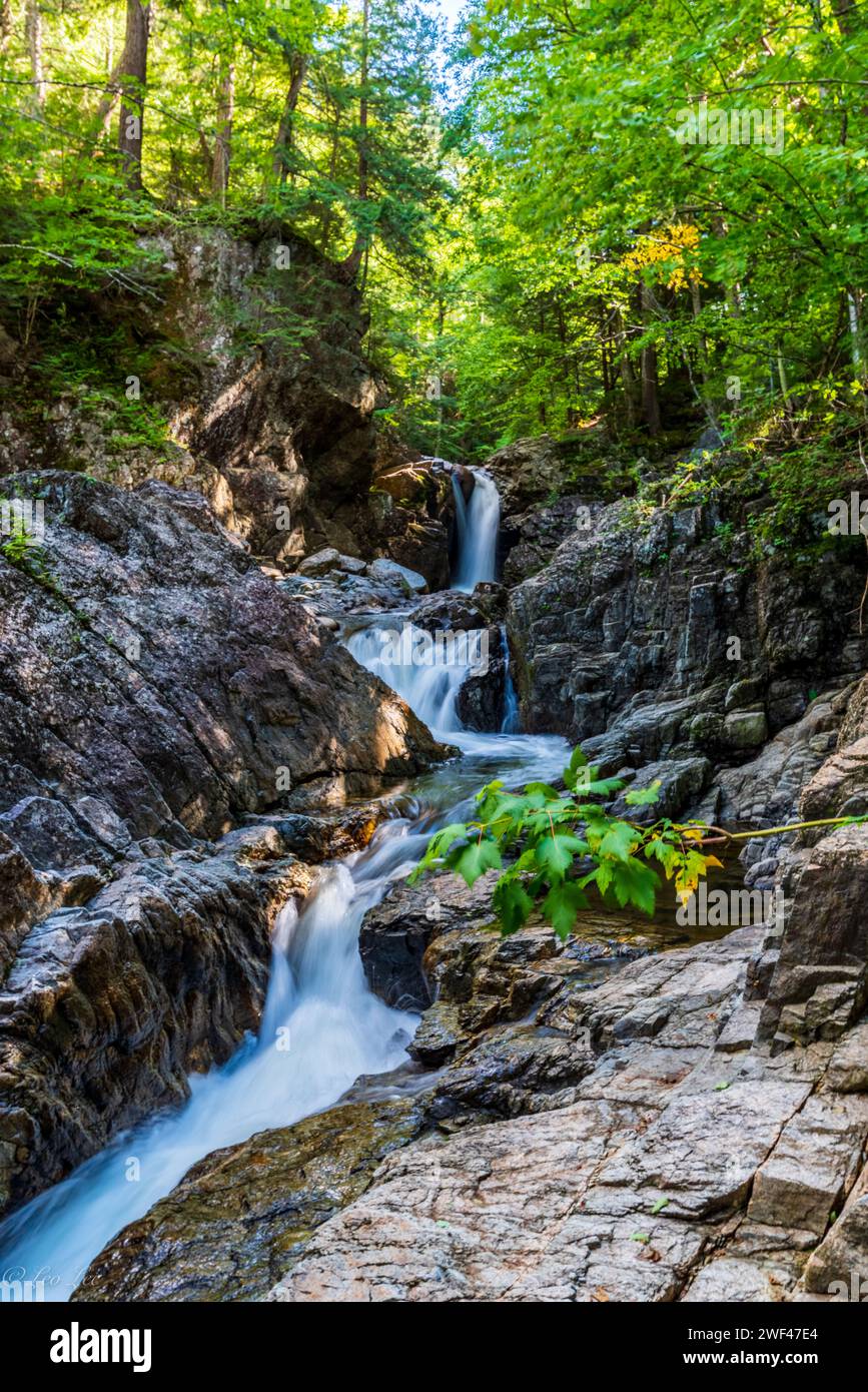 Embarquez pour une aventure dans les Adirondacks, découvrez des sentiers bordés d'arbres et des paysages pittoresques lors d'une expédition de randonnée rafraîchissante Banque D'Images