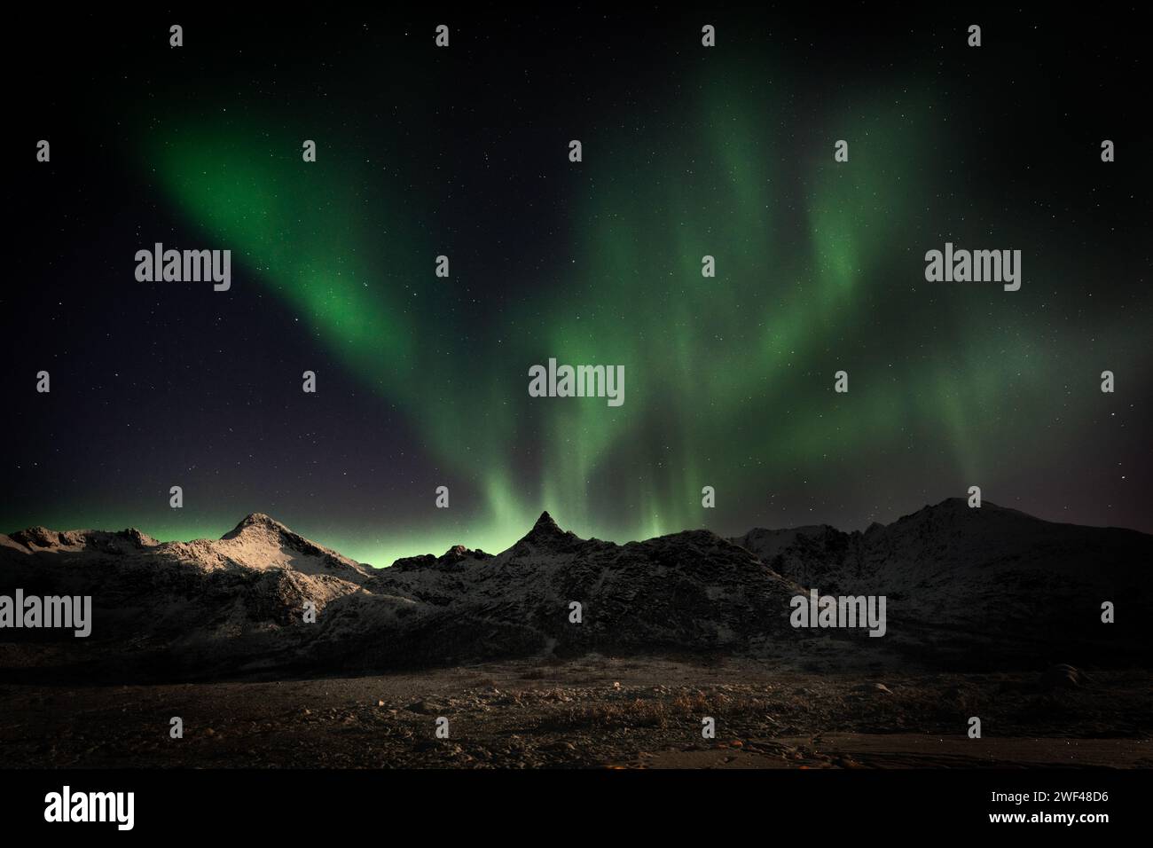 Arctic Dance : les aurores boréales en cascade sur les sommets enneigés près de Tromsø, Norvège Banque D'Images