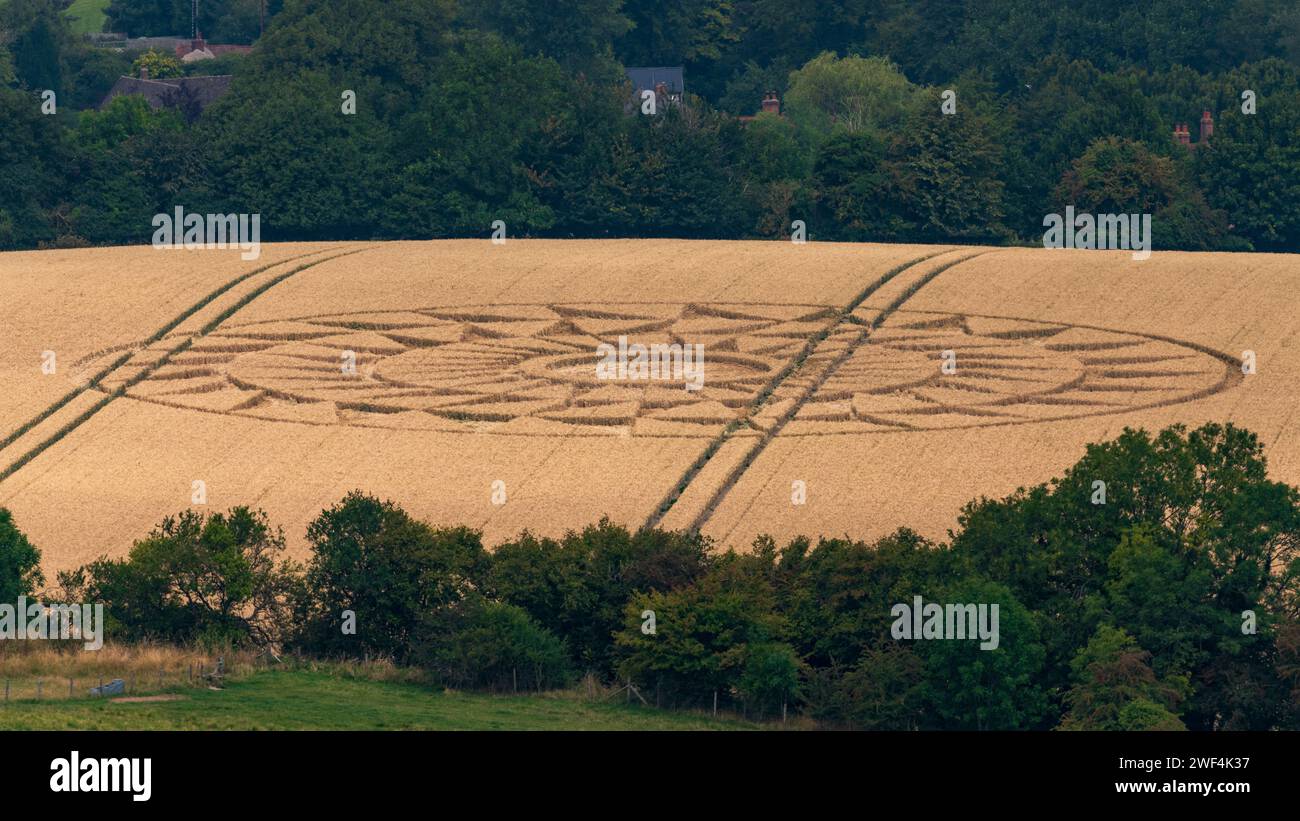 Crop circle vu de près de Uffington White Horse Vale of the White Horse Banque D'Images
