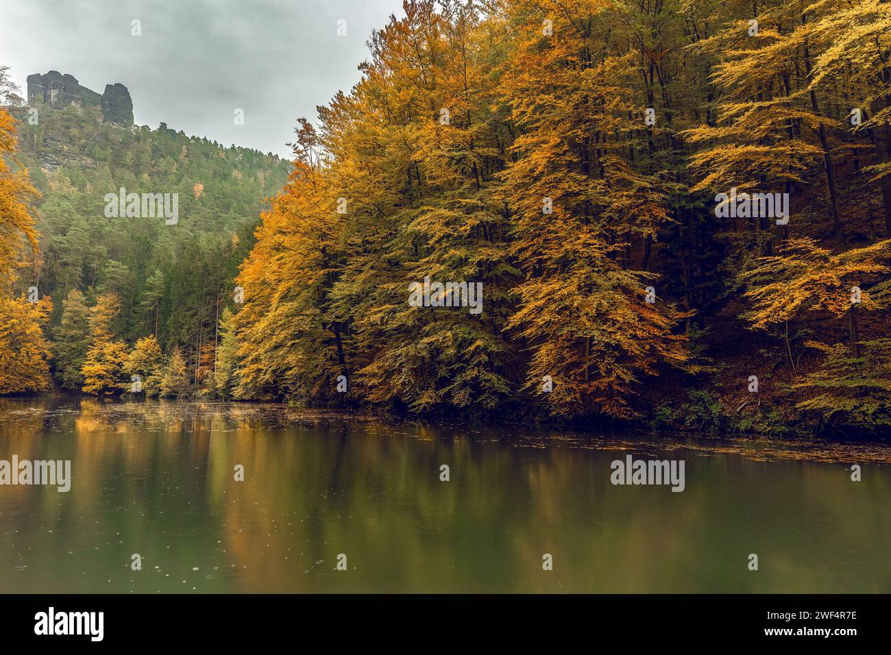 Paysage impression d'un chemin de randonnée dans la suisse de saxe, allemagne, en octobre, automne Banque D'Images