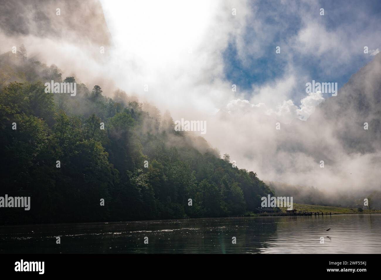 Une matinée brumeuse au lac Koeningssee (Köningssee), parc national de Berchtesgaden, Alpes en Allemagne Banque D'Images