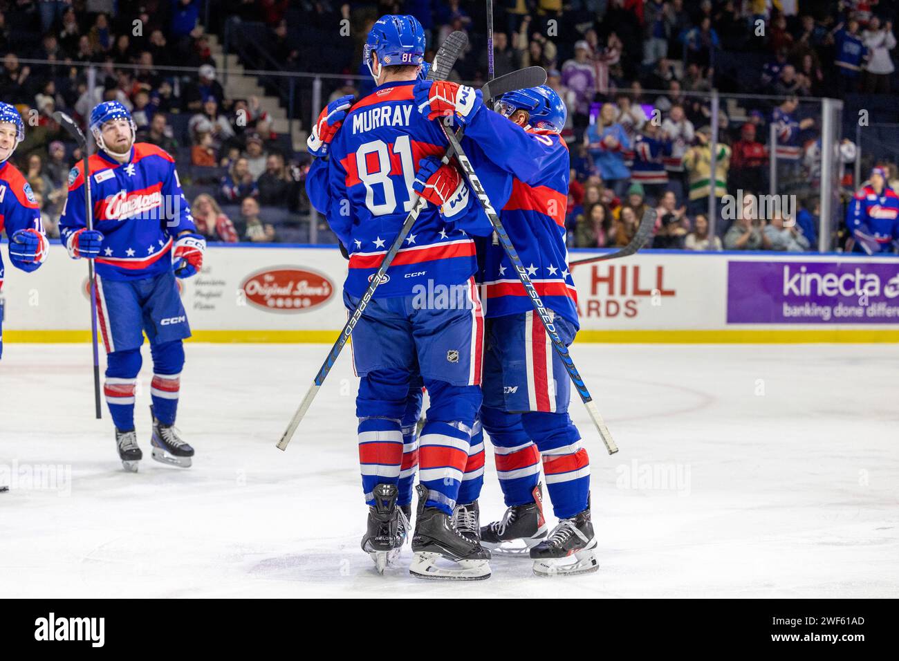 20 janvier 2024 : les joueurs américains de Rochester célèbrent un but en deuxième période contre les Thunderbirds de Springfield. Les Americans de Rochester ont accueilli les Thunderbirds de Springfield dans un match de la Ligue américaine de hockey à Blue Cross Arena à Rochester, New York. (Jonathan Tenca/CSM) Banque D'Images