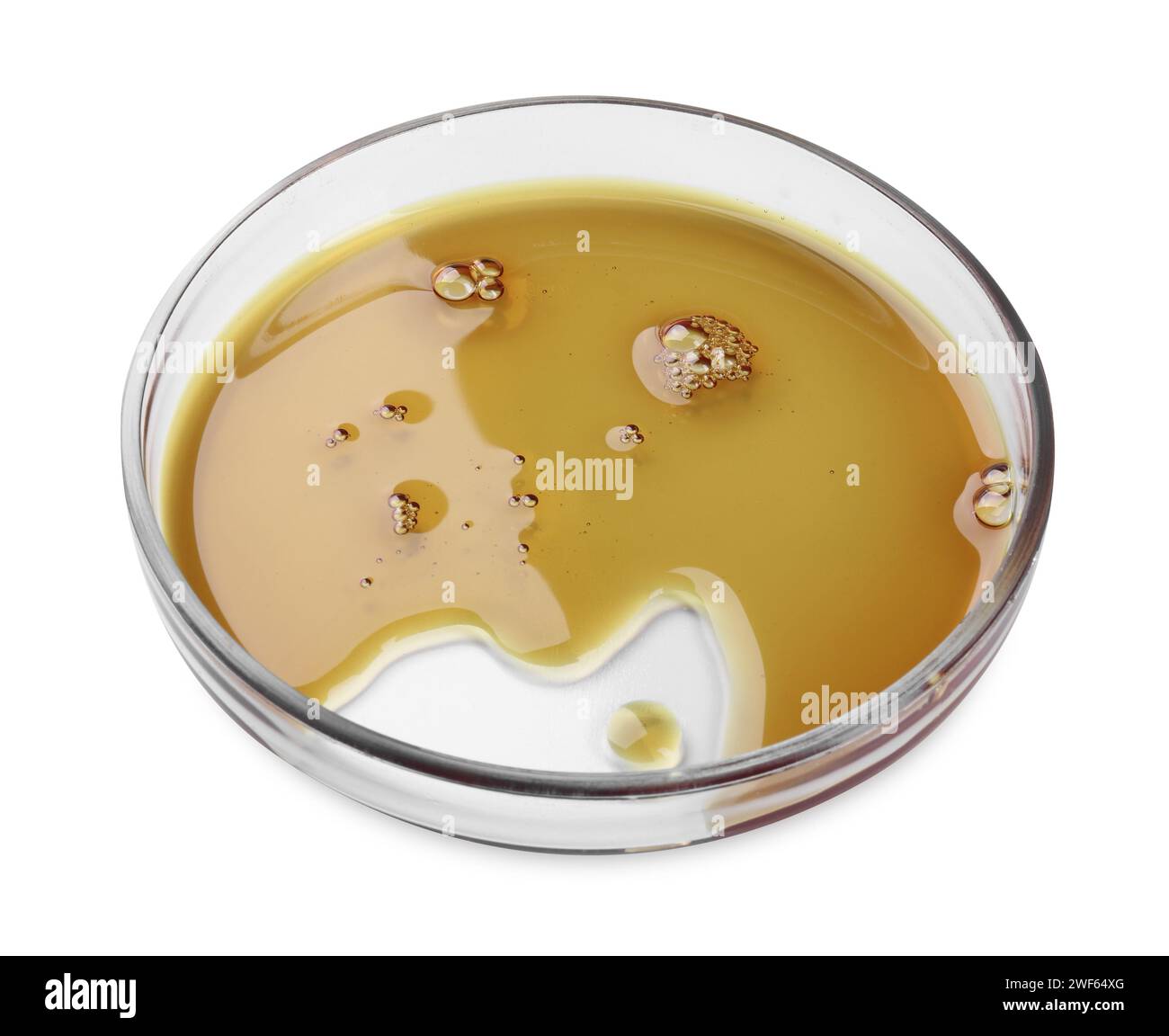 Boîte de Pétri avec échantillon liquide coloré isolé sur blanc Banque D'Images