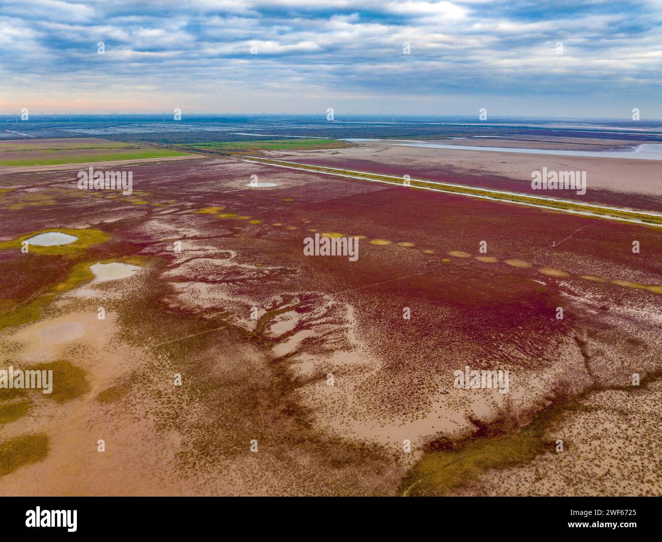 Paysage écologique de la zone humide de Dongtai Tiaozini à Yancheng, province du Jiangsu Banque D'Images