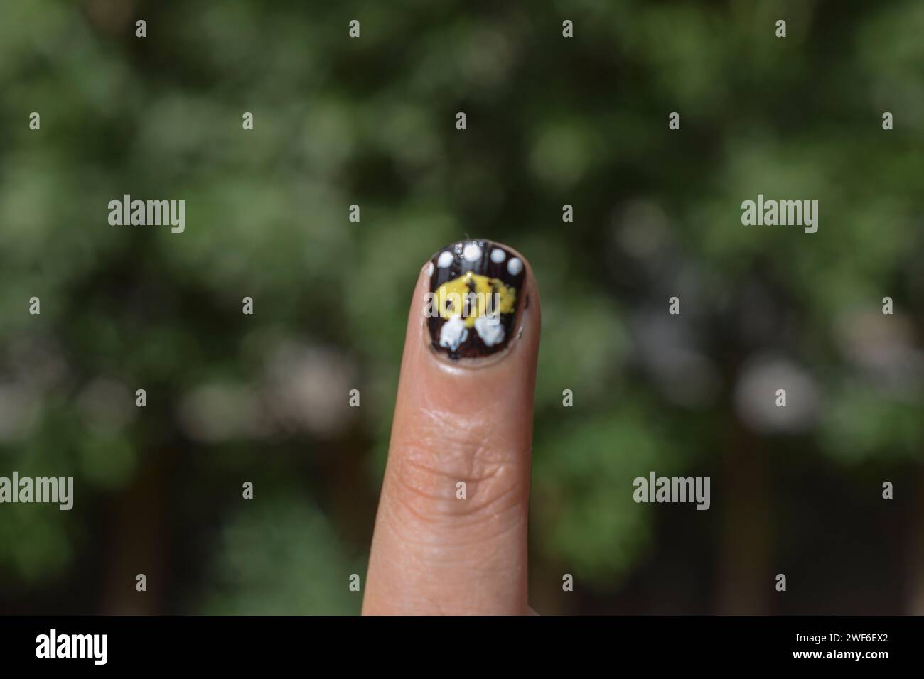 Conceptions d'art de l'ongle, conception d'ongle à pois faits à la main sur l'index féminin, conception d'art d'ongle d'abeille sur vernis à ongles noir Banque D'Images
