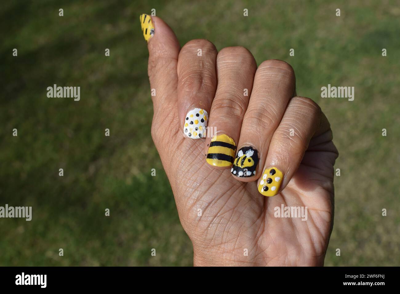 Ruche d'abeilles peintes Banque de photographies et d'images à haute  résolution - Page 2 - Alamy