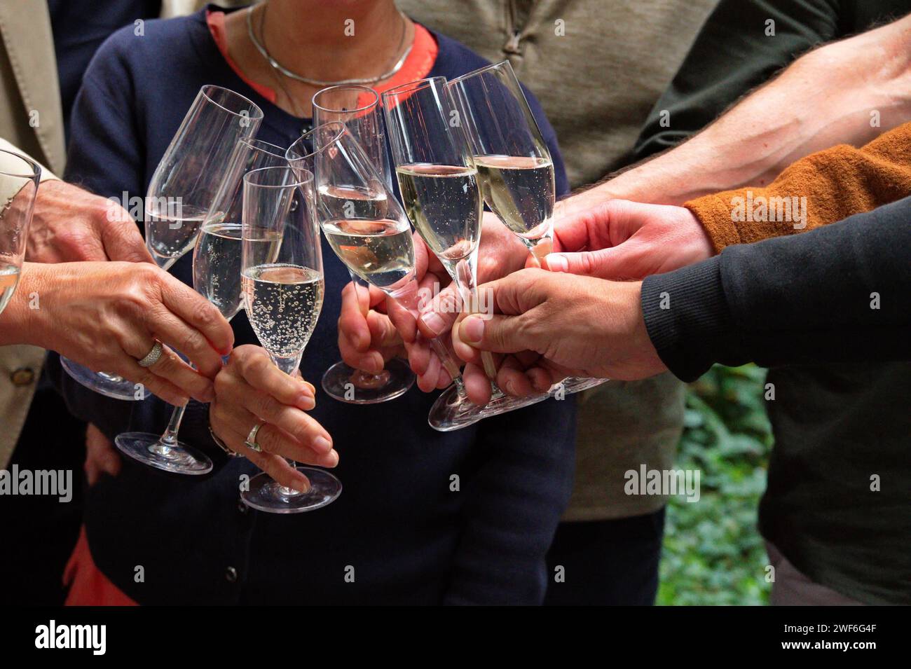 Groupe de personnes grillage avec champagne Banque D'Images