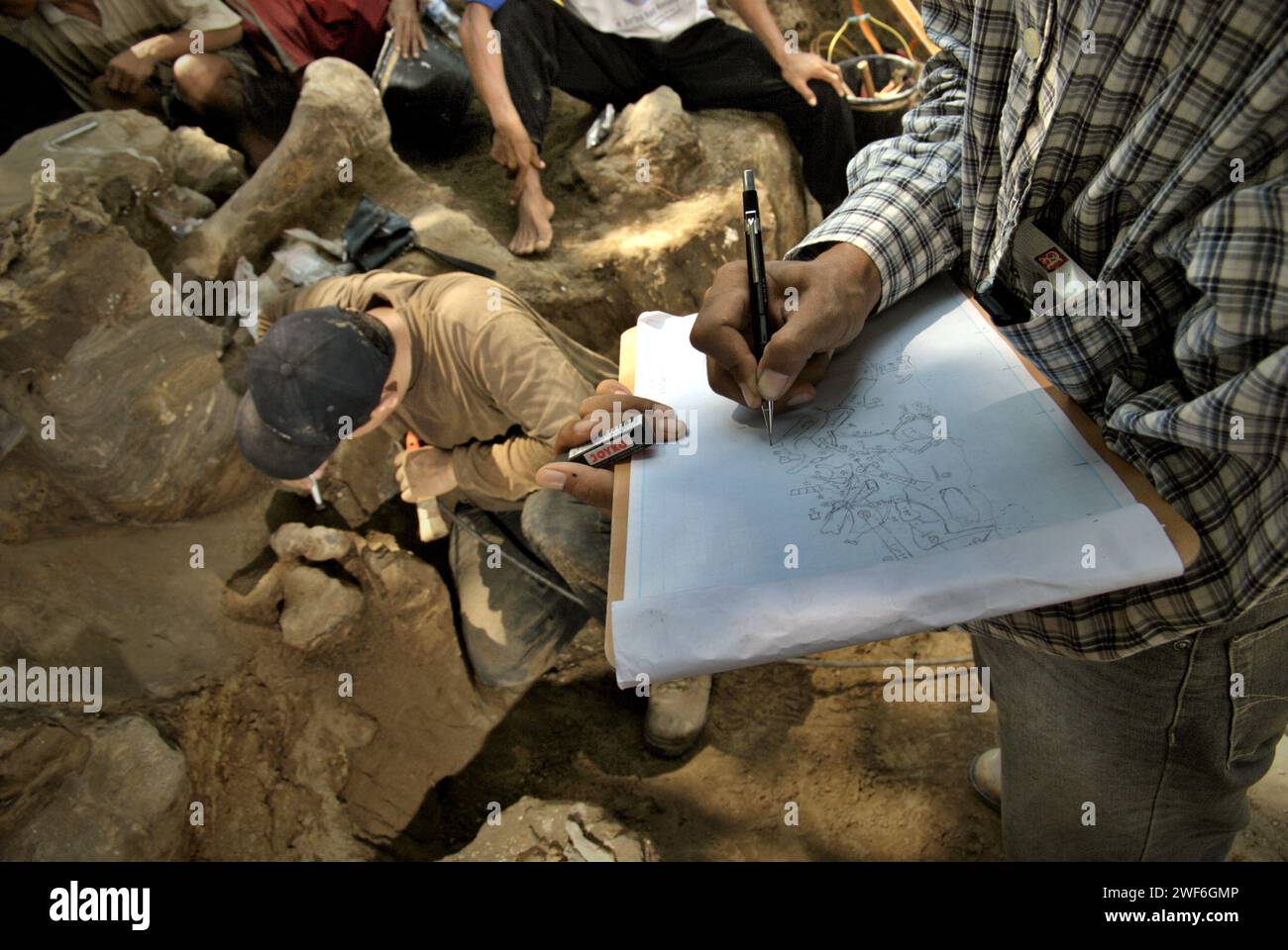 Le paléontologue Iwan Kurniawan dessine un croquis sur papier qui montre l'emplacement des os fossilisés d'Elephas hysudrindicus - une espèce d'éléphant éteinte vivant à l'époque du Pléistocène, qui est plus tard connu sous le nom d'« éléphant de Blora » - comme son équipe travaille en arrière-plan sur le site de fouilles de Sunggun, Mendalem, Kradenan, Blora, Central Java, Indonésie. L'équipe de recherche sur les vertébrés (Agence géologique, Ministère indonésien de l'énergie et des ressources minérales) dirigée par Kurniawan lui-même avec Fachroel Aziz a découvert les os de l'espèce presque entièrement (environ 90 pour cent complets). Banque D'Images