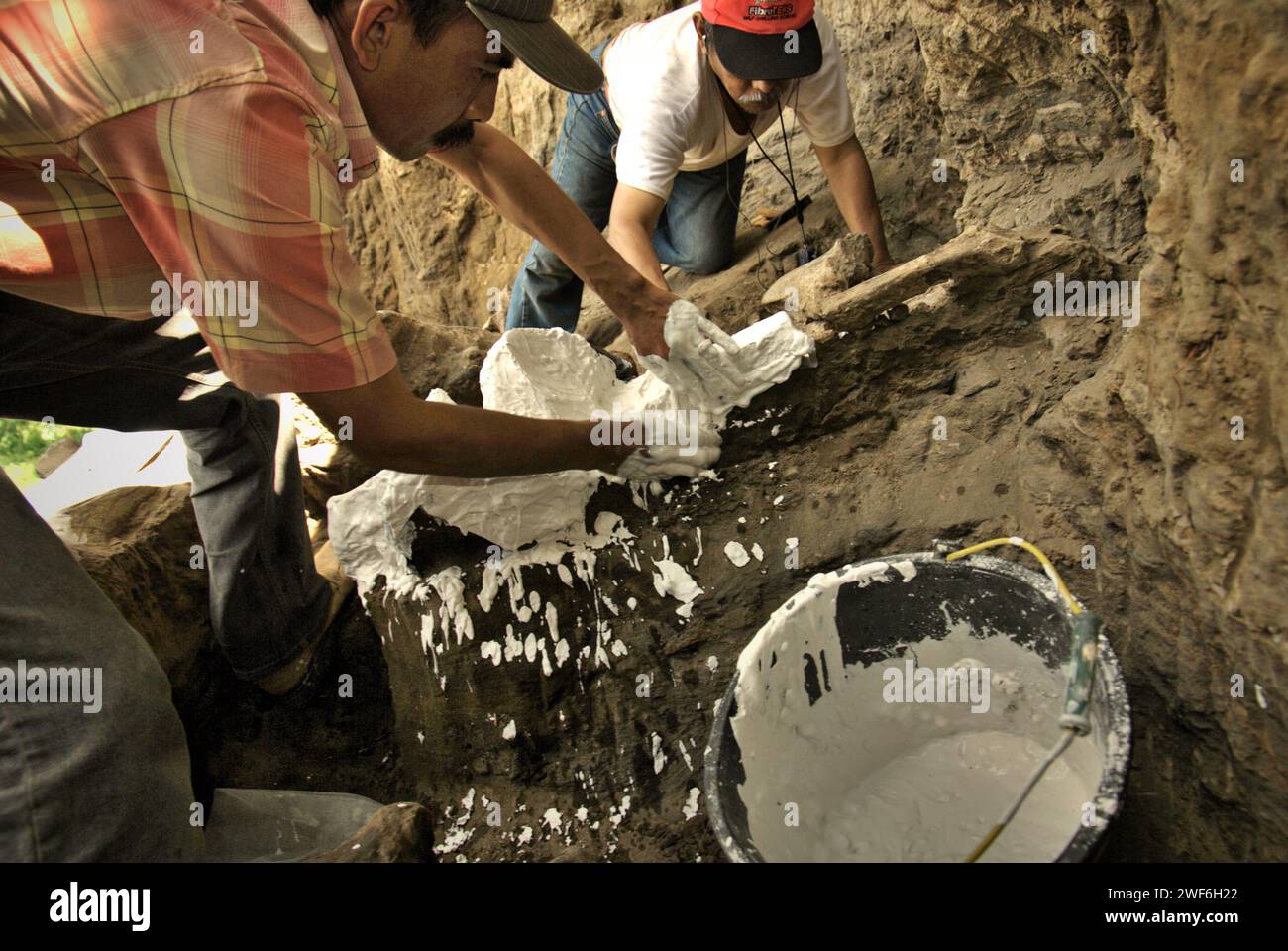 Le paléontologue Iwan Kurniawan (à gauche) travaille avec son collègue scientifique Fachroel Aziz pour couvrir les os fossilisés d'une espèce d'éléphant éteinte scientifiquement identifiée comme Elephas hysudrindicus, ou populairement appelé 'éléphant de Blora', avec du gypse pour un transport ultérieur au Musée de géologie à Bandung City, car ils travaillent sur le site de fouilles à Sunggun, village de Mendalem, district de Kradenan, régence de Blora, province de Java central, Indonésie. Banque D'Images