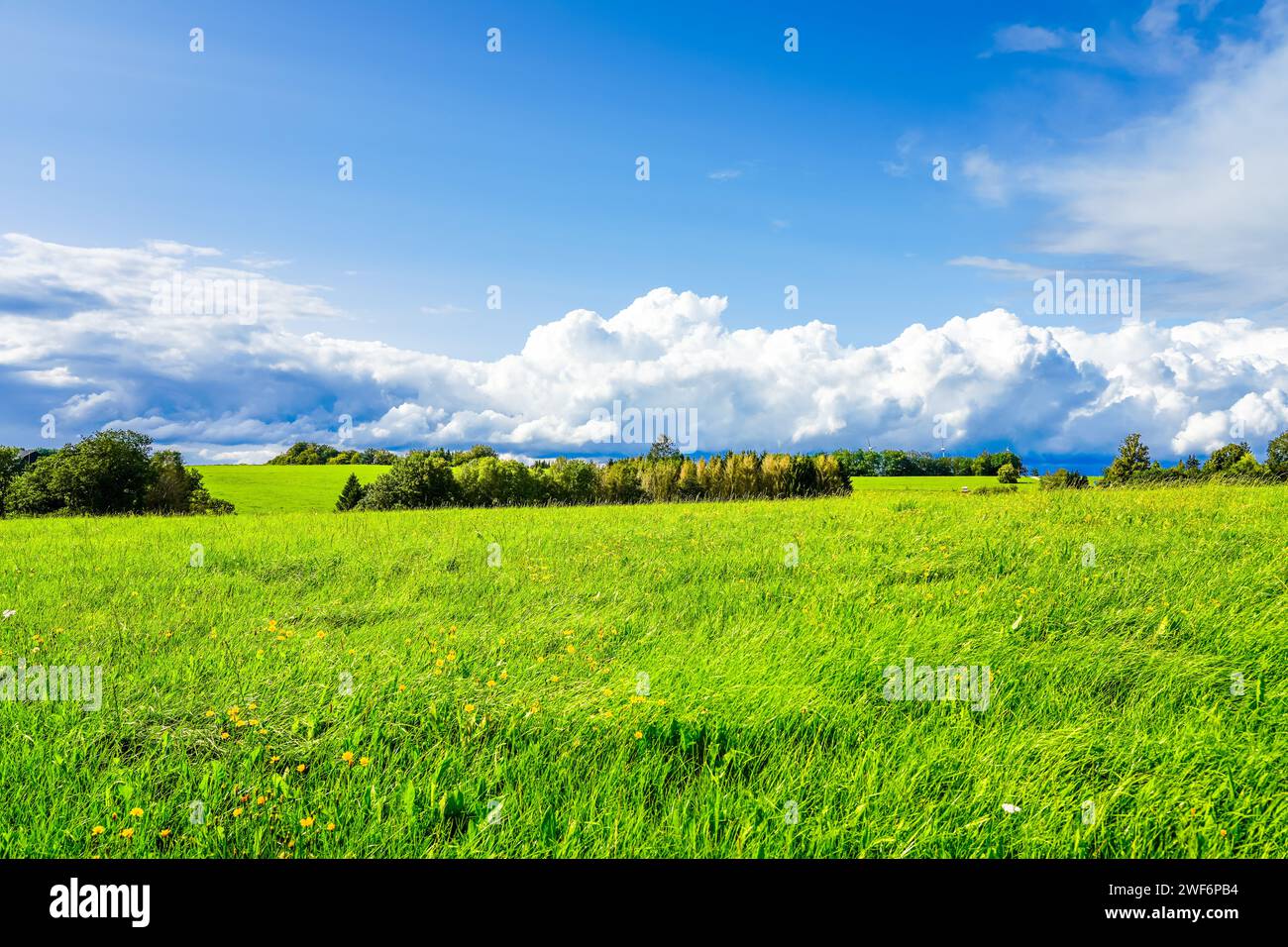 Paysage près de Wipperfürth. Nature avec champs et forêts dans le Bergisches Land. Banque D'Images