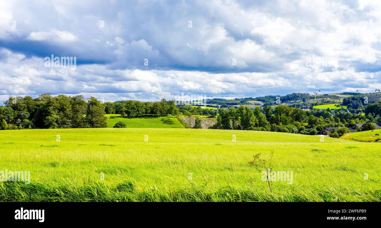 Paysage près de Wipperfürth. Nature avec champs et forêts dans le Bergisches Land. Banque D'Images