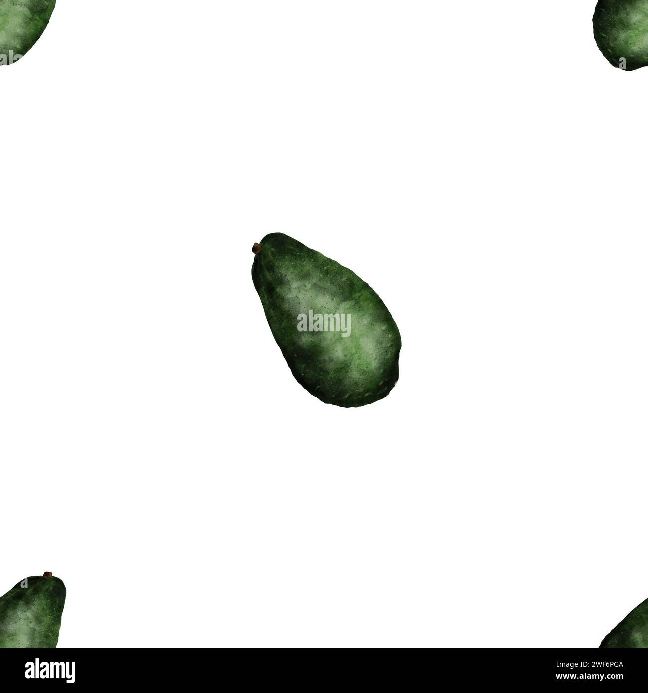 Fruits frais mûrs vert avocat dans un motif sans couture sur un fond blanc. Ripe Persea americana dans une illustration succulente à l'aquarelle. Fruit été Banque D'Images