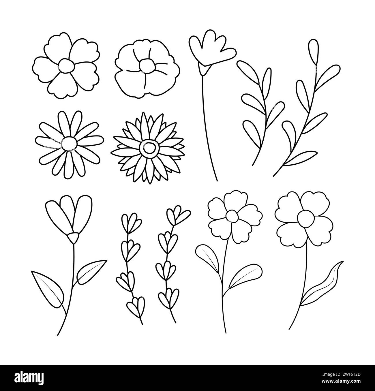 Les fleurs printanières s'enorssent dans un style dessiné à la main. Collection éléments fleurs et feuilles. Illustration de Vecteur
