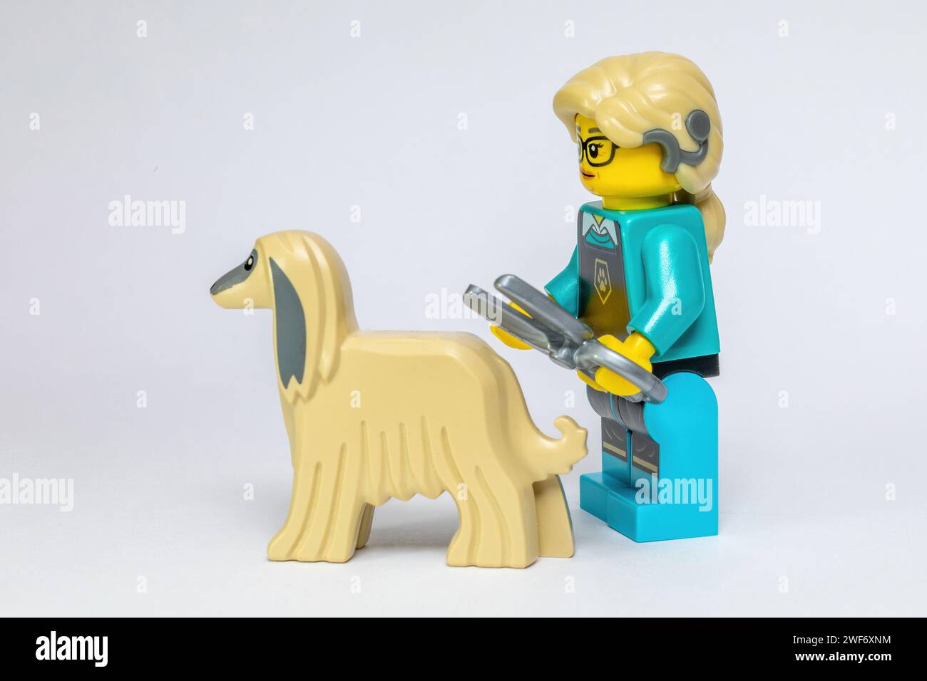 Un toiletteur Lego coupant le manteau d'un chien courant afghan Banque D'Images