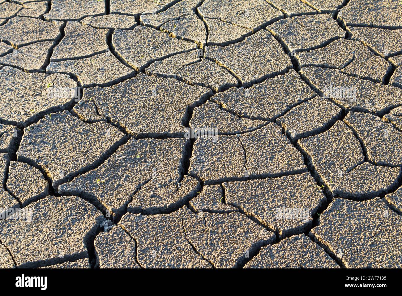 Texture du mur sol motif de fissure sèche de sécheresse manque d'eau de la nature brun vieux fond cassé. Banque D'Images