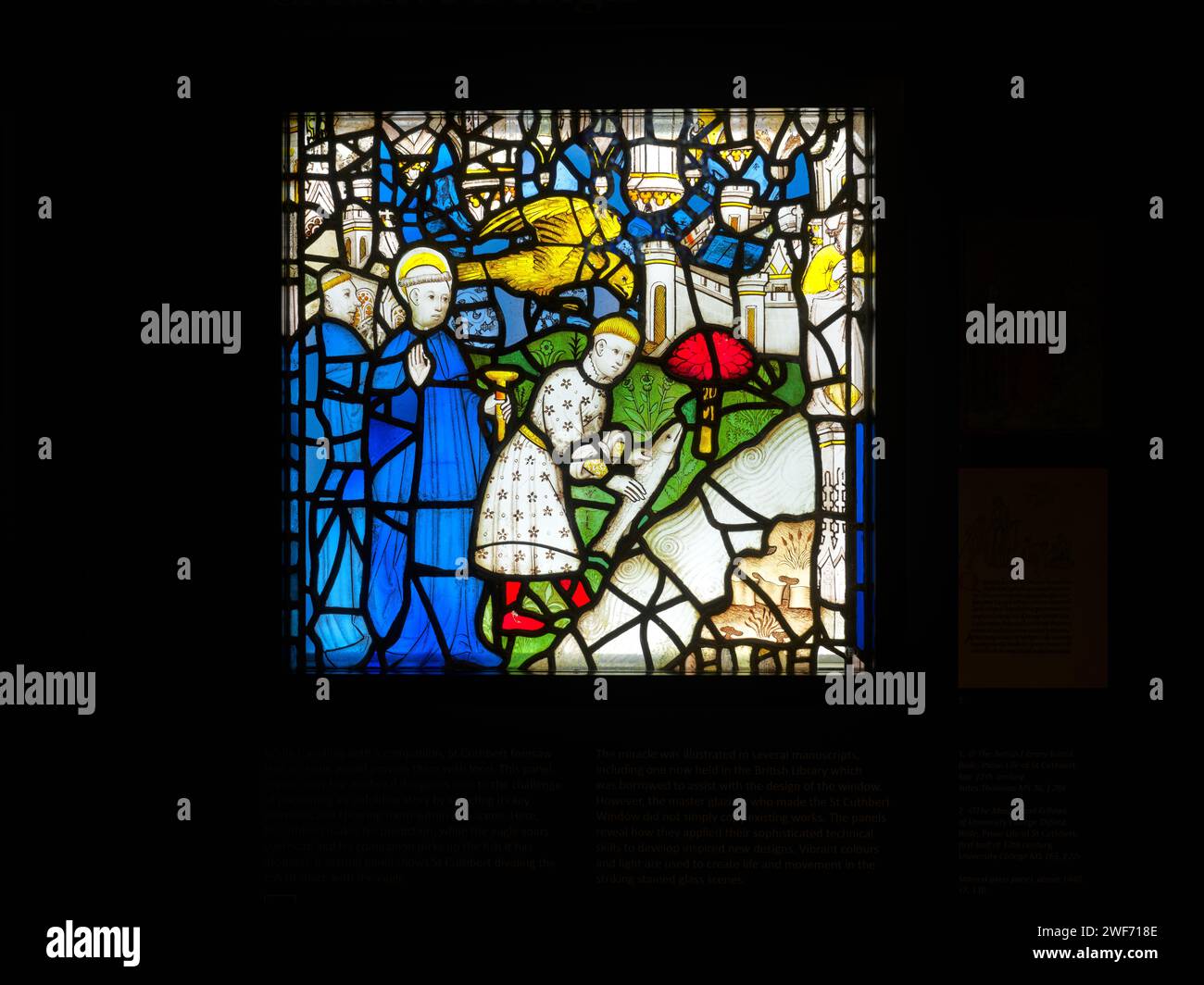 Scène, d'un aigle fournissant de la nourriture (un poisson) à St Cuthbert et à ses compagnons, sur le vitrail médiéval de St Cuthbert, dans la minster, York. Banque D'Images