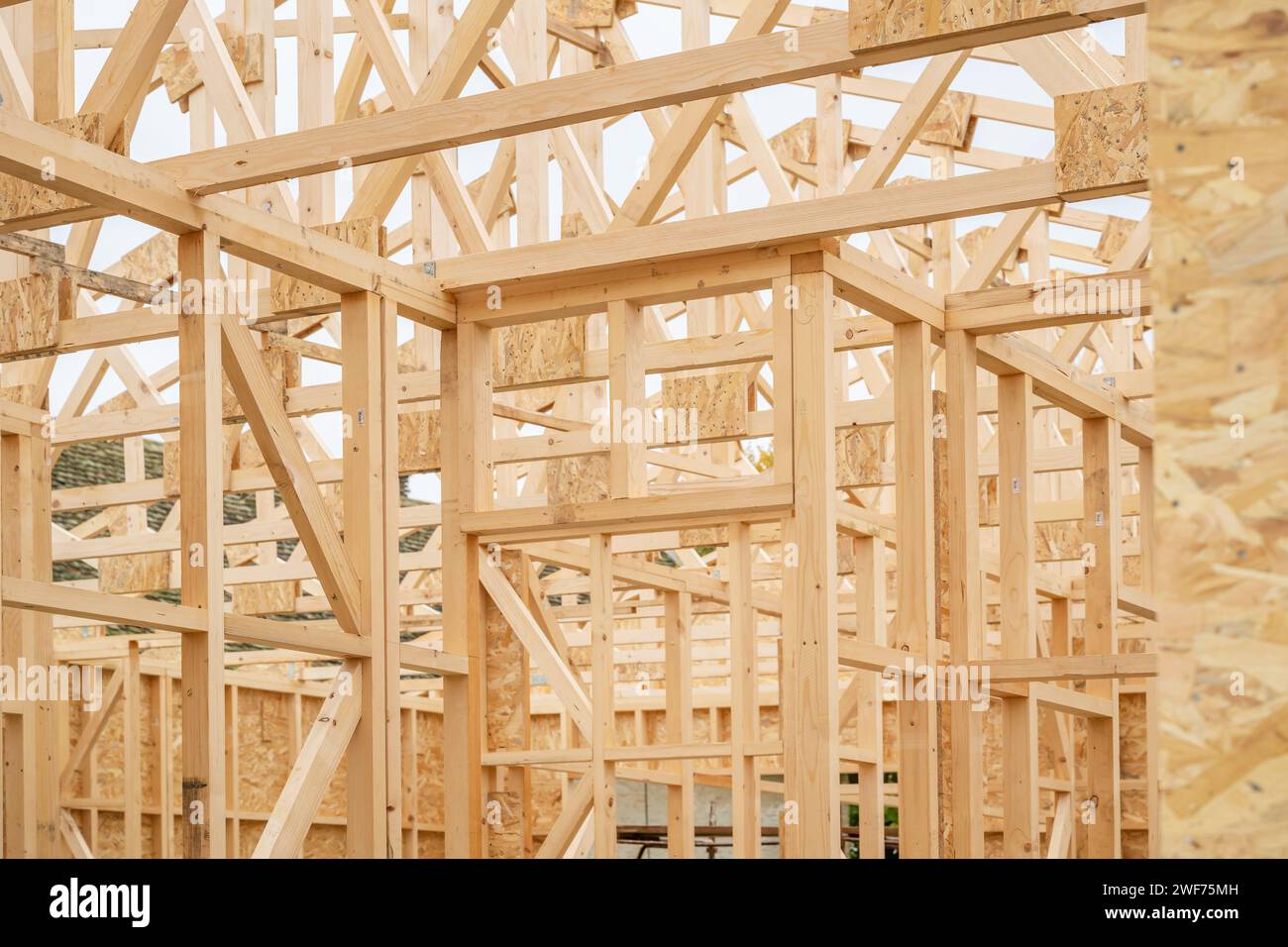 Site de construction de maisons en bois préfabriquées, solives de poutres en bois et panneaux de copeaux de bois, focalisation sélective Banque D'Images