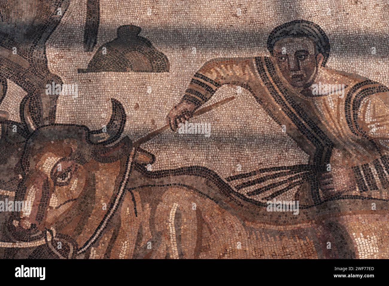 Hunter conduit un chariot à bœufs. Détail de la mosaïque romaine tardive à la Villa Romana del Casale, une grande villa construite à la fin des années 300 EC sur la Piazza Armerina en Sicile, Italie. La mosaïque se trouve dans le Corridoio della Grande Caccia (Corridor de la Grande chasse) de la villa où des mosaïques, probablement réalisées par des mosaïciens africains, illustrent la chasse, la capture, la mise en cage et le transport d’animaux sauvages vivants destinés à des « vénationes » ou spectacles de bêtes. Banque D'Images