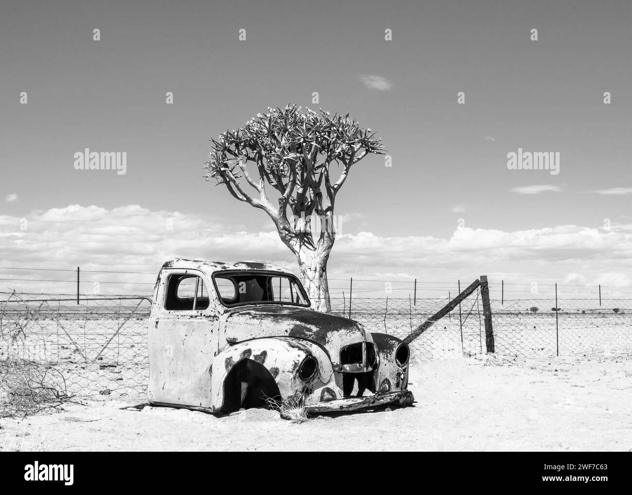 Namibie Old Truck Quiver Tree Desert Banque D'Images