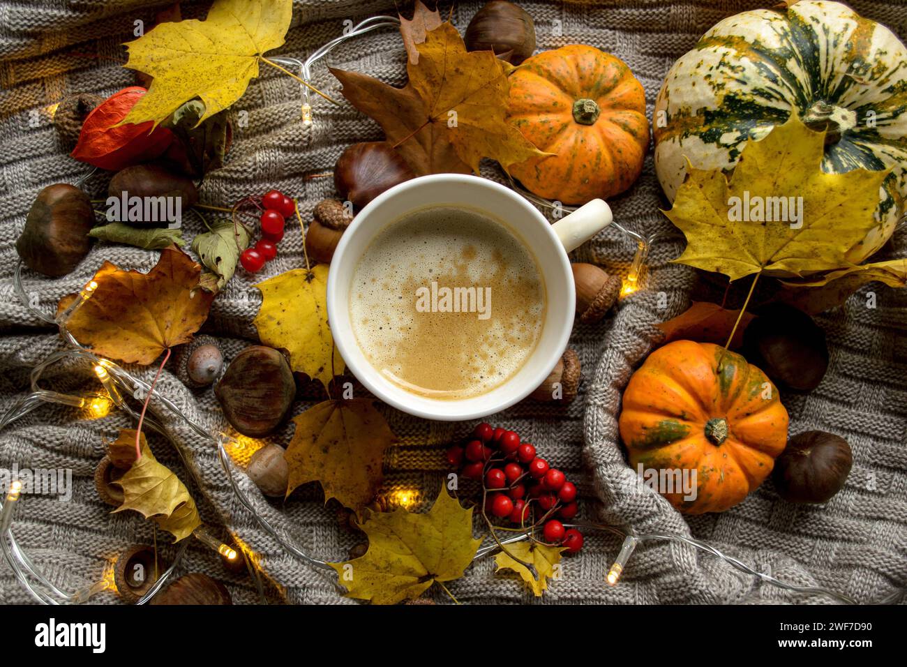 Une tasse de café chaud sur un plaid tricoté parmi les citrouilles, les châtaignes et les feuilles d'érable Banque D'Images