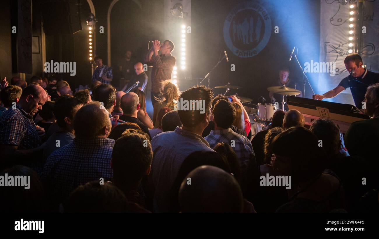 Inspiral Carpets retrouvailles Manchester comeback au Band on the Wall le 7 juin 2014 Banque D'Images