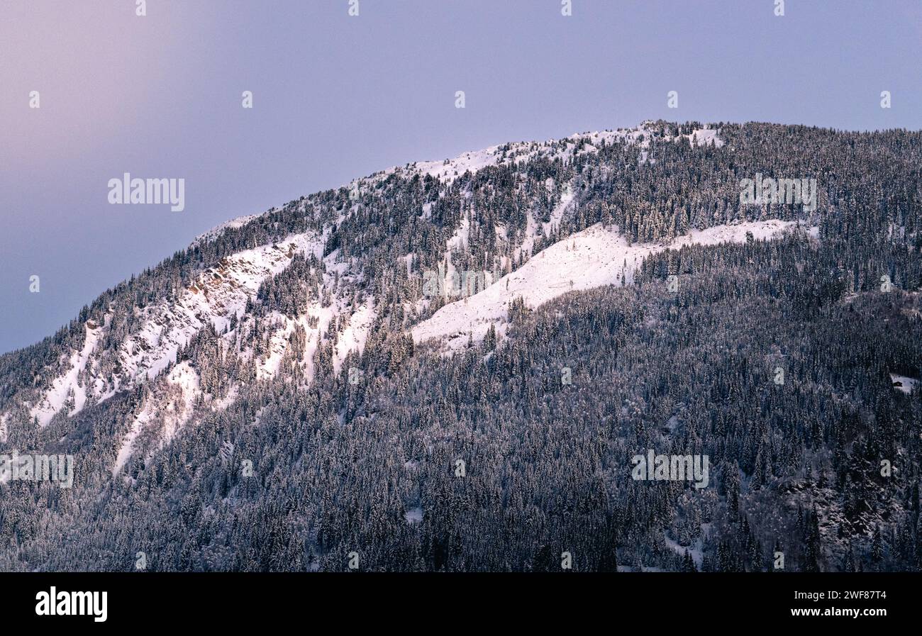 Spectaculaire coucher de soleil hivernal à Disentis, Alpes suisses. Sommets majestueux, arbres enneigés et paysage serein baigné de teintes roses et bleues. Banque D'Images