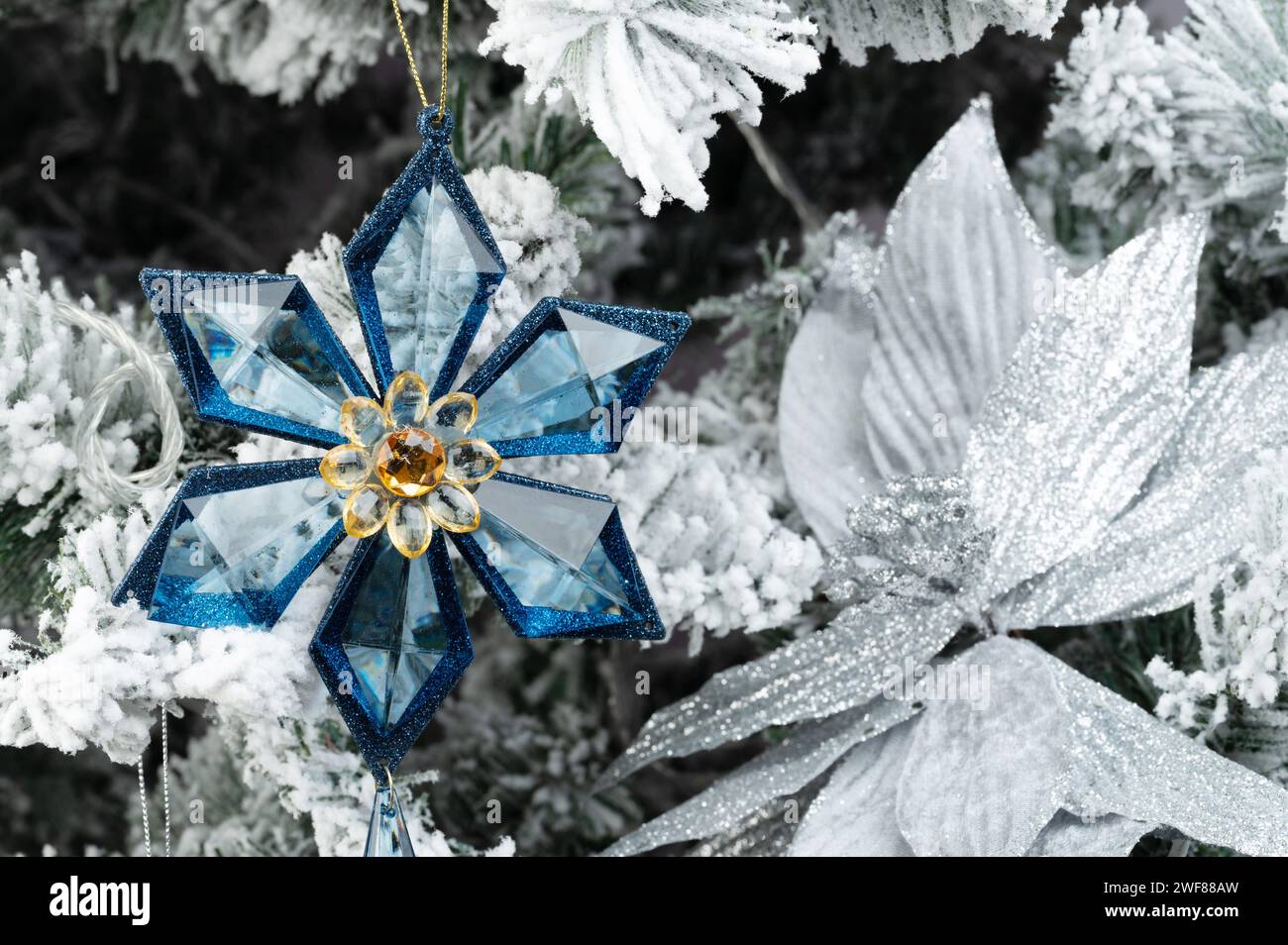 Étoile bleue étincelante sur la décoration de fleur blanche macro vue rapprochée Banque D'Images