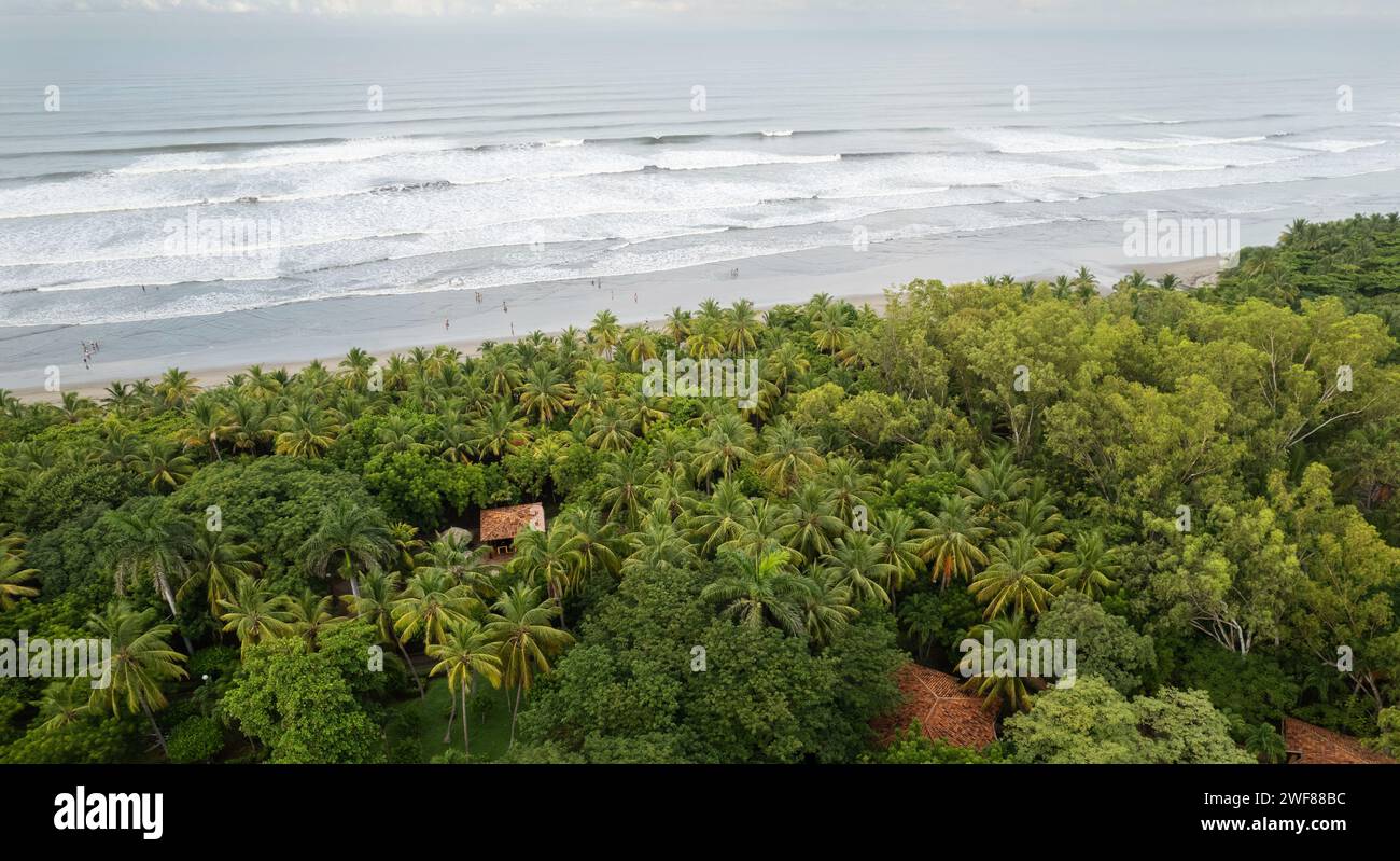 Beaucoup de gens sur la plage de l'océan vue aérienne drone Banque D'Images