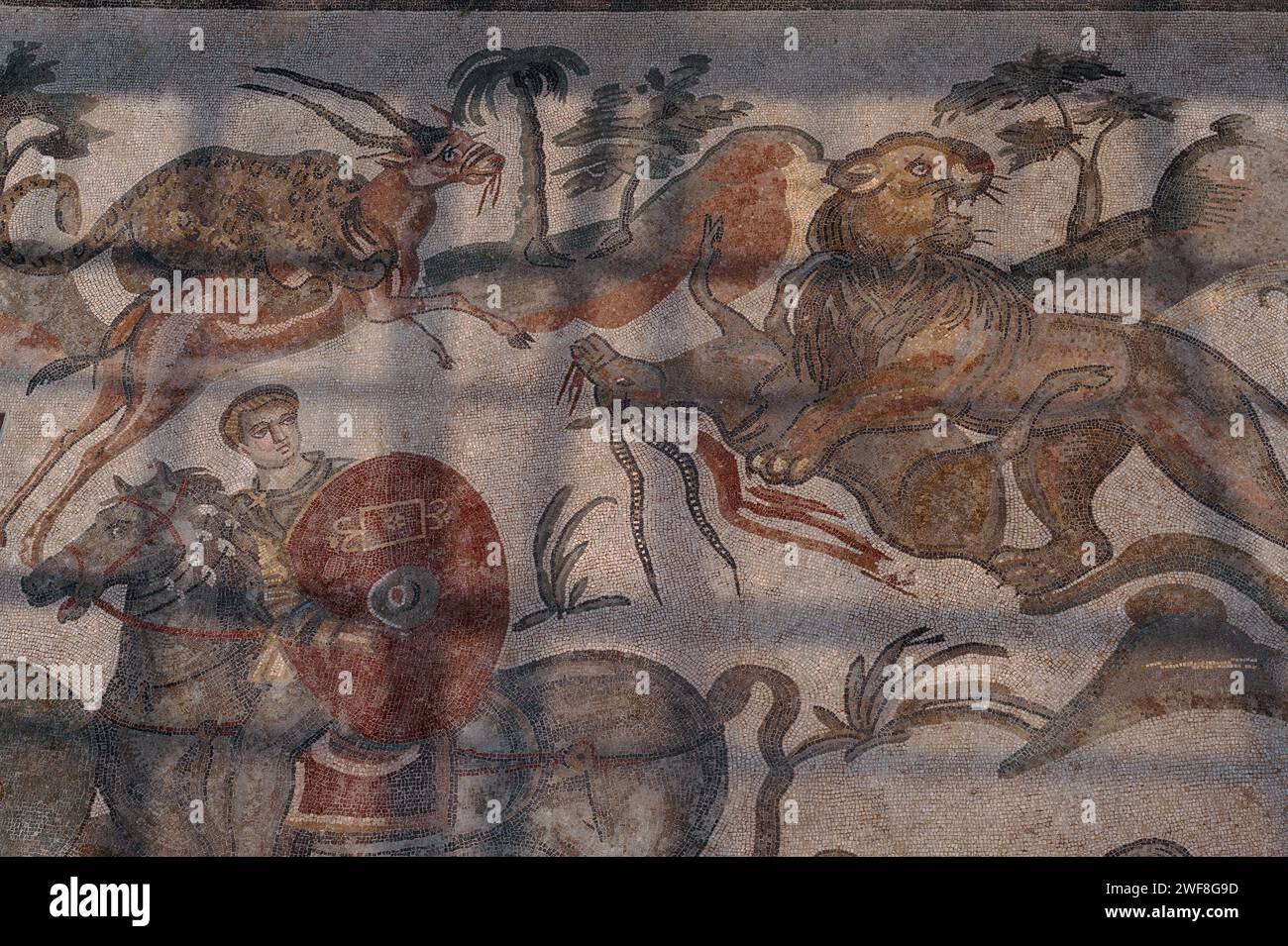 Prédateurs et proies : le lion femelle tue l'antilope (à droite), le léopard attrape l'antilope (en haut à gauche) et le chasseur avec un bouclier à cheval (en bas à gauche). Détail de la mosaïque romaine tardive à la Villa Romana del Casale, une grande villa construite à la fin des années 300 EC sur la Piazza Armerina en Sicile, Italie. La mosaïque se trouve dans le Corridoio della Grande Caccia (Corridor de la Grande chasse) de la villa où des mosaïques, probablement réalisées par des mosaïciens africains, illustrent la chasse, la capture, la mise en cage et le transport d’animaux sauvages vivants destinés à des « vénationes » ou spectacles de bêtes. Banque D'Images