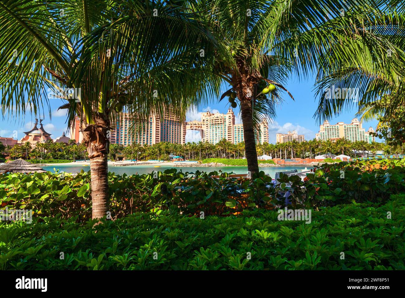Palmiers sur Paradise Island tropical, lagon et mer des Caraïbes à Nassau, Bahamas Banque D'Images