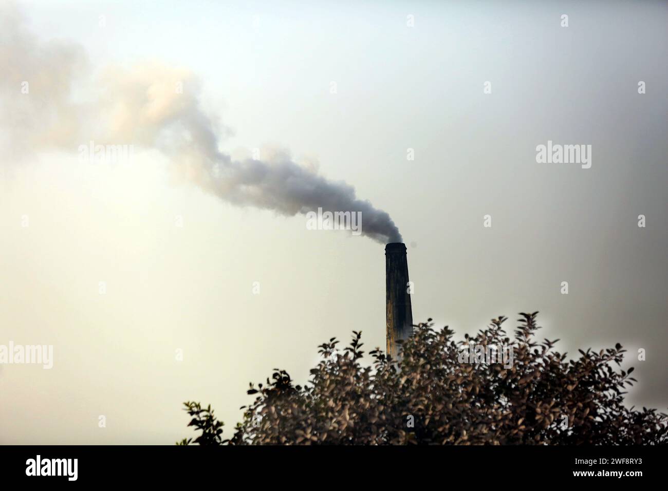 28 janvier 2024, Dhaka, Wari, Bangladesh : de la fumée s'échappe de la cheminée d'une fabrique de briques à Keraniganj, au Sud-Ouest de Dhaka, Bangladesh, le 29 janvier 2024. Dhaka reste l'une des villes les plus polluées au monde, avec des débris de construction, la pollution industrielle, les émissions des véhicules et les fours à briques identifiés comme des contributeurs importants à la pollution atmosphérique. L'Indice de qualité de vie de l'air (AQLI) classe le Bangladesh comme l'un des pays les plus pollués du monde. Selon l’Organisation mondiale de la santé (OMS), la pollution atmosphérique tue environ sept millions de personnes dans le monde chaque année. (Image de crédit : © Banque D'Images