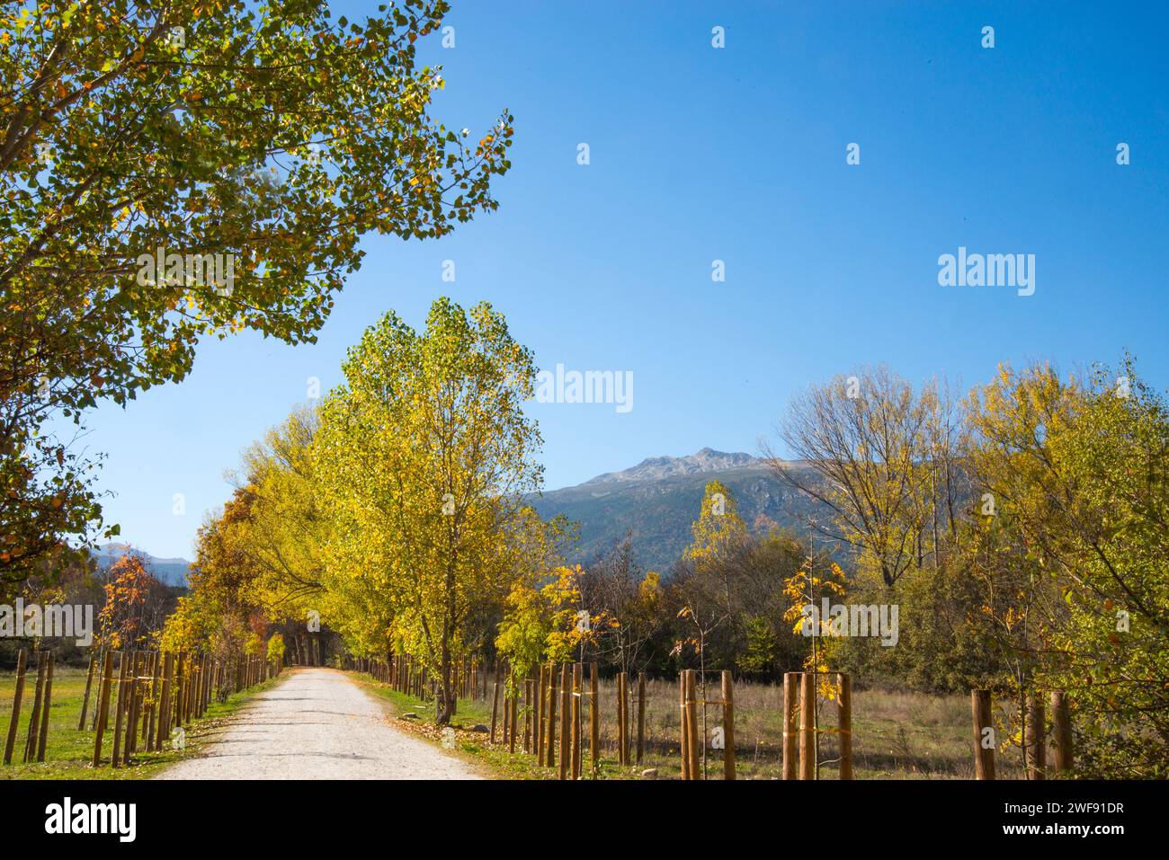 Sentier en automne et pic Peñalara. Parc national de Sierra de Guadarrama, province de Madrid, Espagne. Banque D'Images