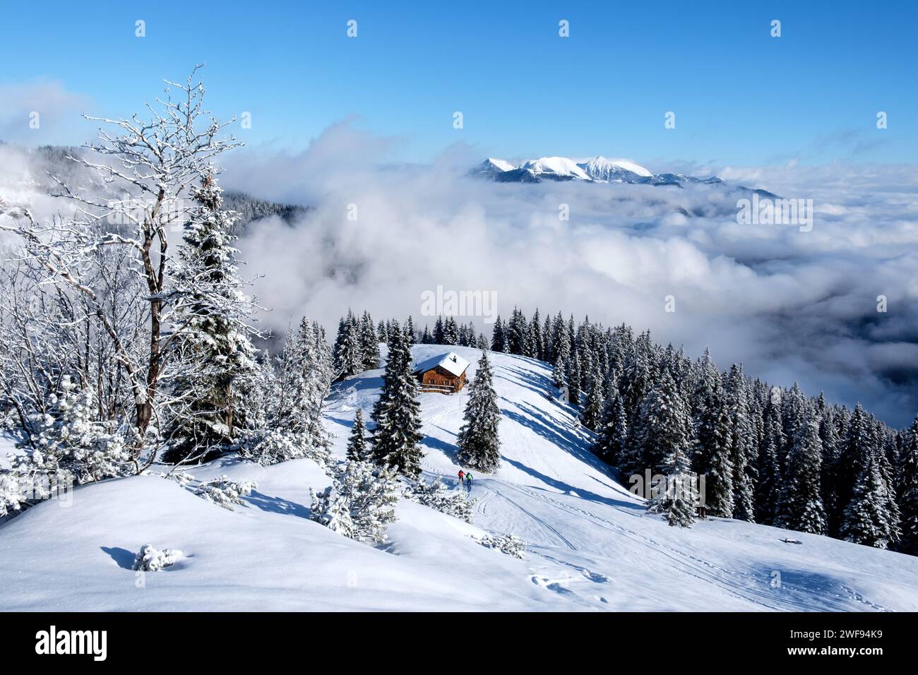 Cabane alpine dans un paysage hivernal magique Banque D'Images
