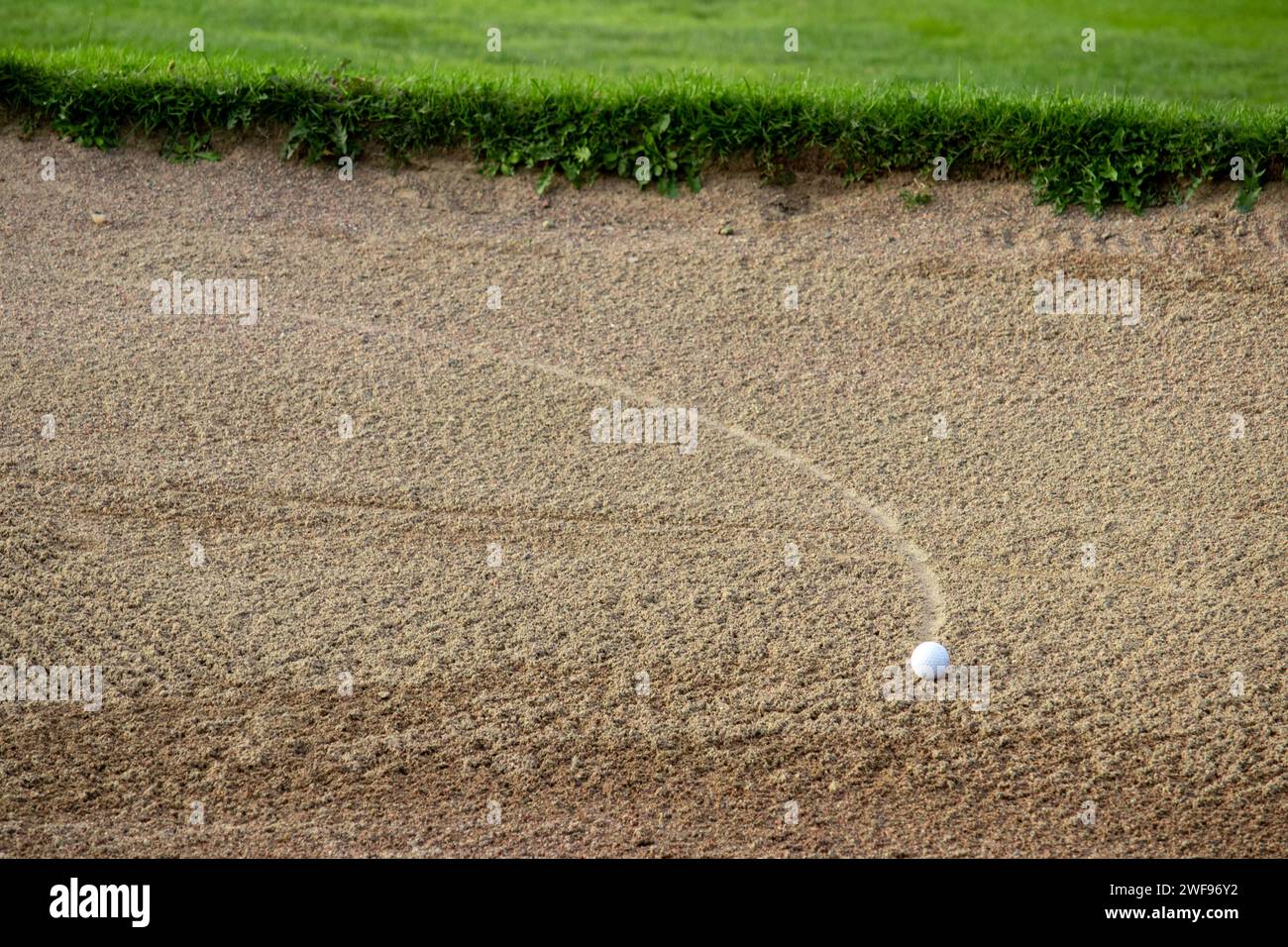 Balle de golf couchée dans un bunker de sable avec sentier dans le sable Banque D'Images