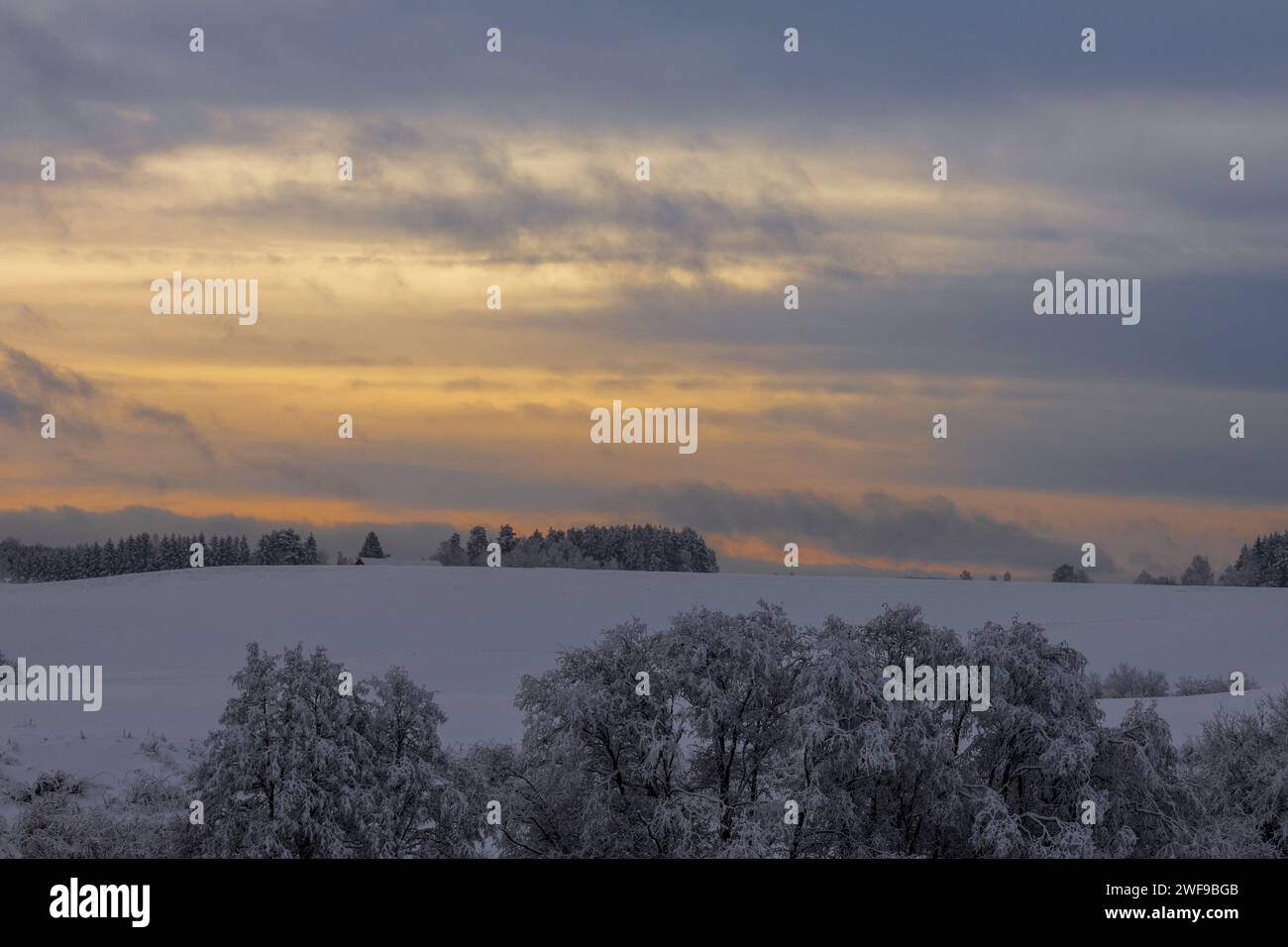 L'étreinte hivernale, où les teintes vibrantes dansent dans le froid, créant une toile pittoresque de tranquillité et de beauté gelée Banque D'Images