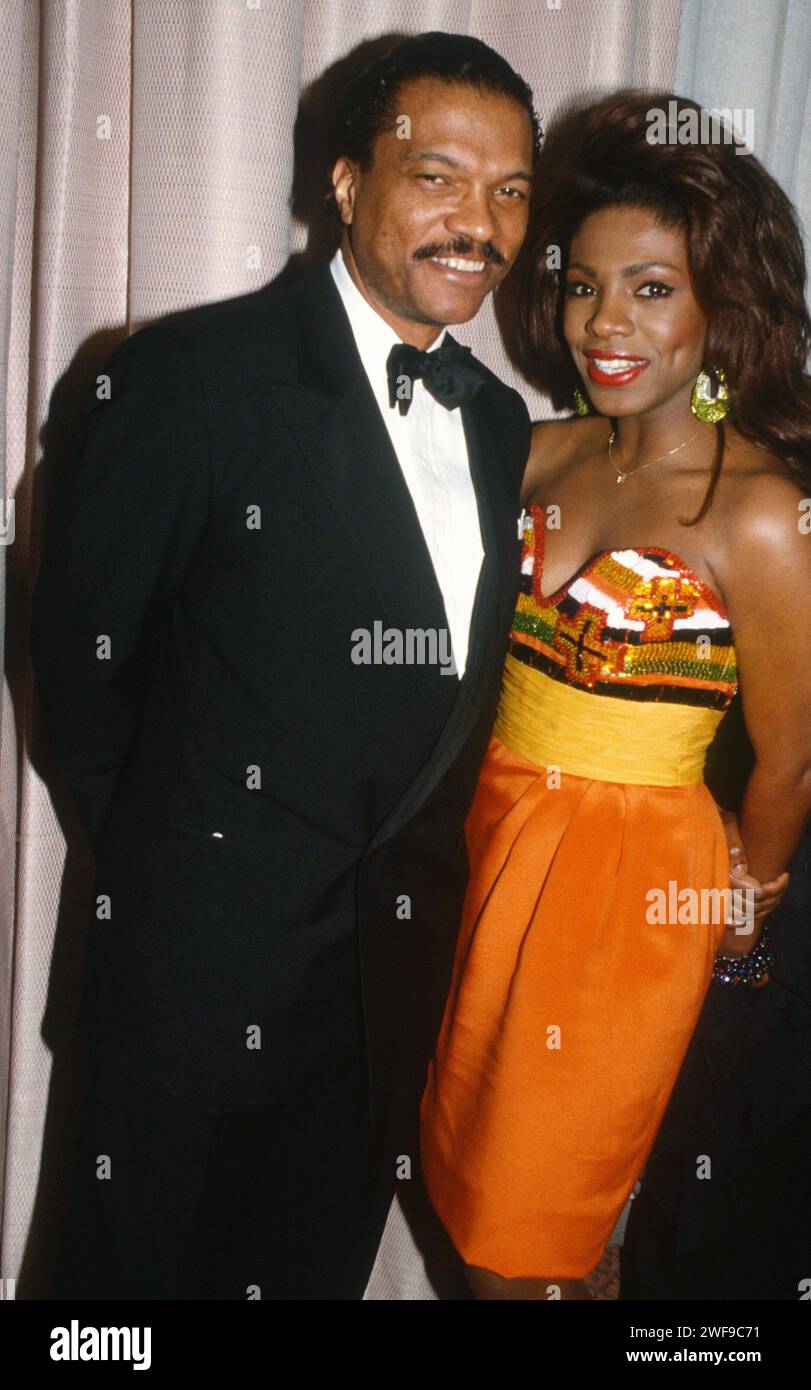 Billy Dee Williams, Sheryl Lee Ralph, 1990. tél. : John Barrett/PHOTOlink/Courtesy Everett Collection (Billy Dee Williams Sheryl Lee Ralph6209) Banque D'Images