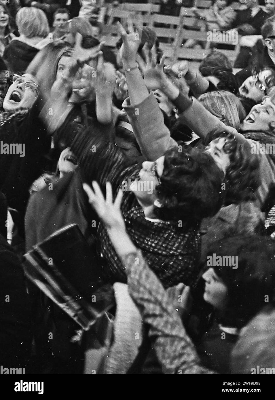 Les fans dans le public du concert des Beatles à Washington le 11 février 1964 attrapent des jelly beans après la représentation des Beatles. Photo de Dennis Brack Banque D'Images