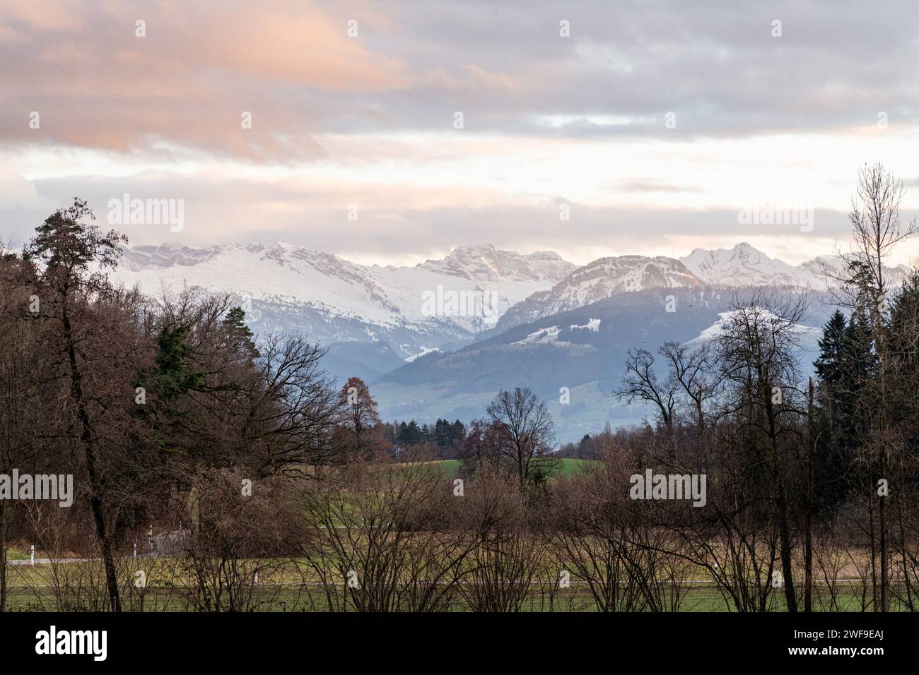 Une vue sur les montagnes des Alpes suisses à travers la campagne près de Zurich en Suisse Banque D'Images