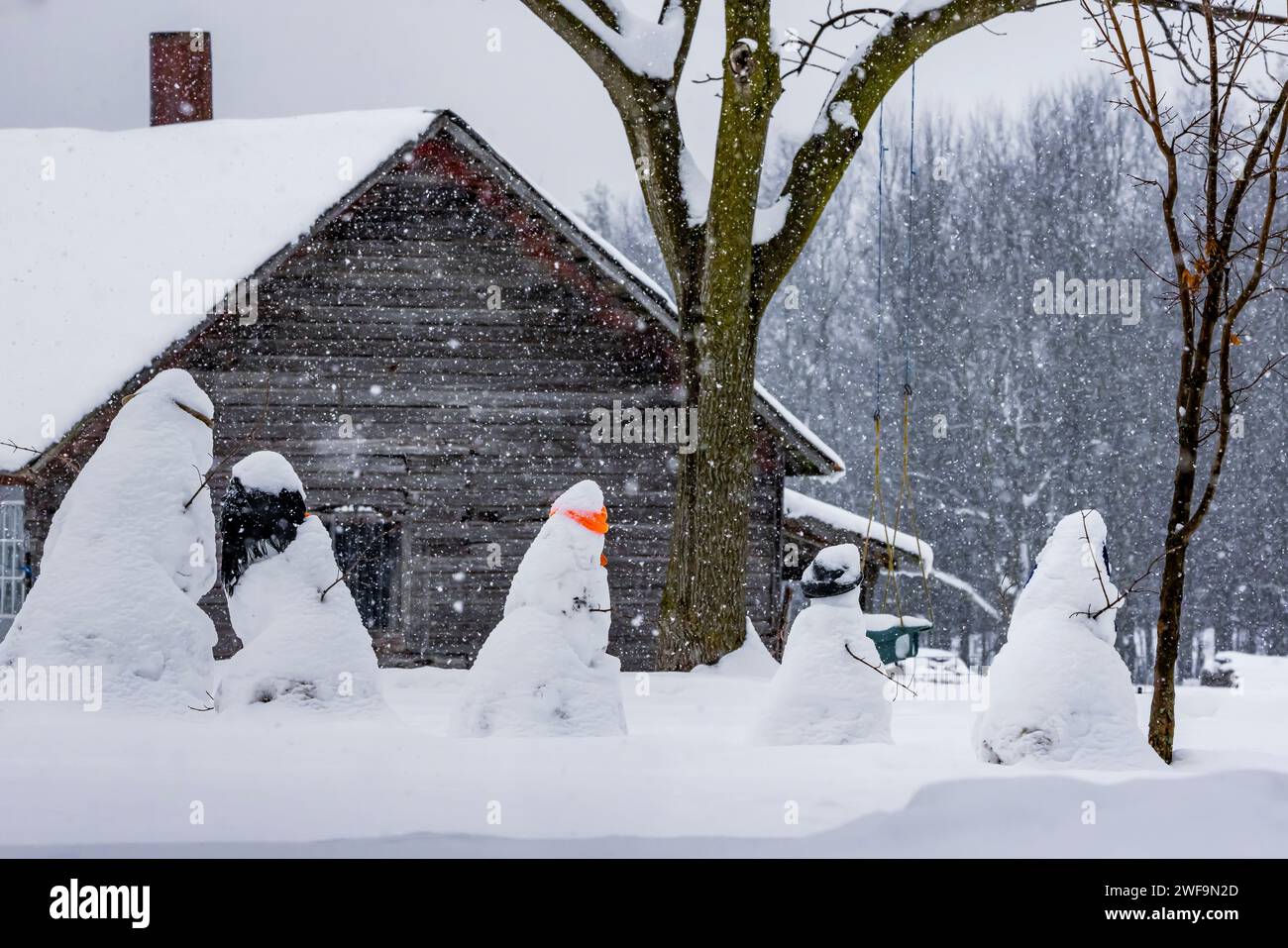 Bonhommes de neige fabriqués par des enfants amish sur leur ferme dans le comté de Mecosta, Michigan, USA [pas d'autorisation de propriété ; licence éditoriale seulement] Banque D'Images