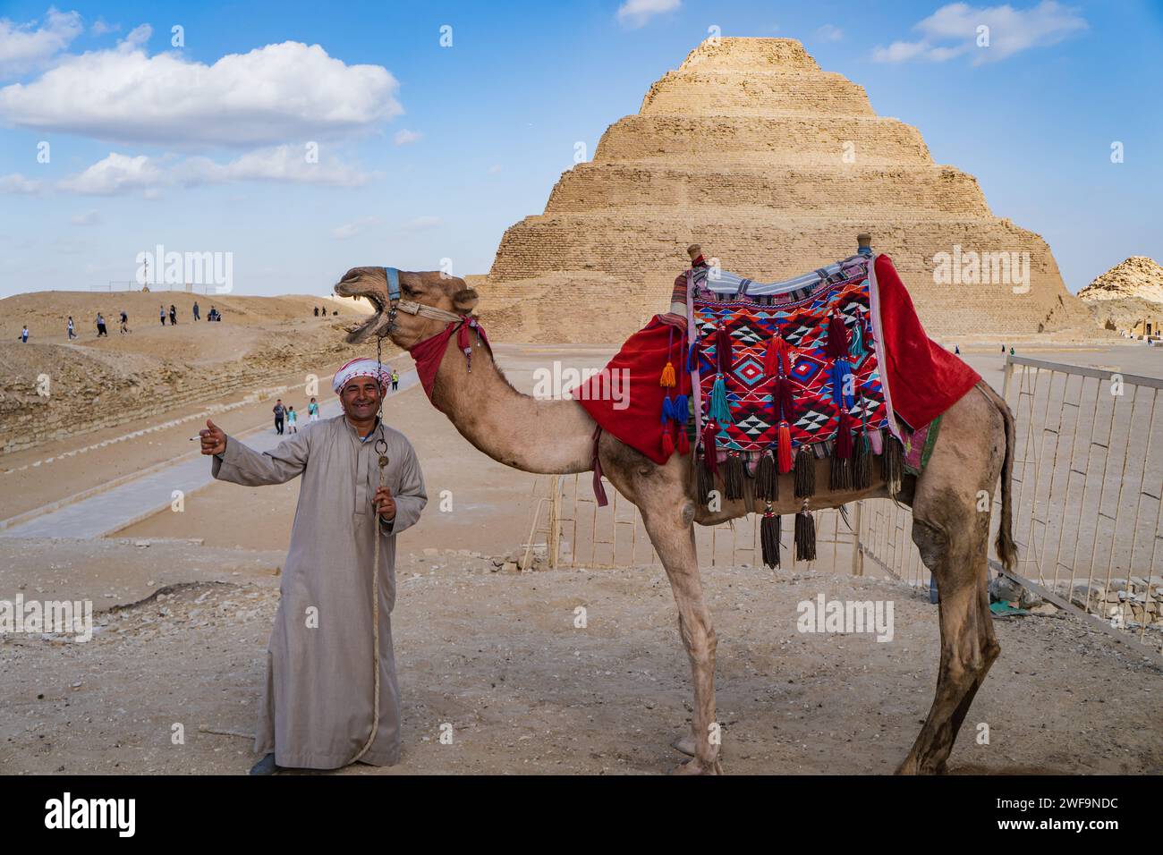 Chauffeur de chameau avec son chameau devant la Pyramide à Saqqara, Egypte Banque D'Images