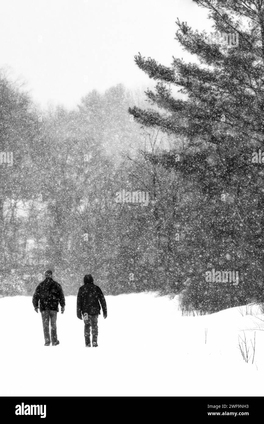 Deux copains marchant sur une route hivernale enneigée dans le comté de Mecosta, Michigan, États-Unis Banque D'Images