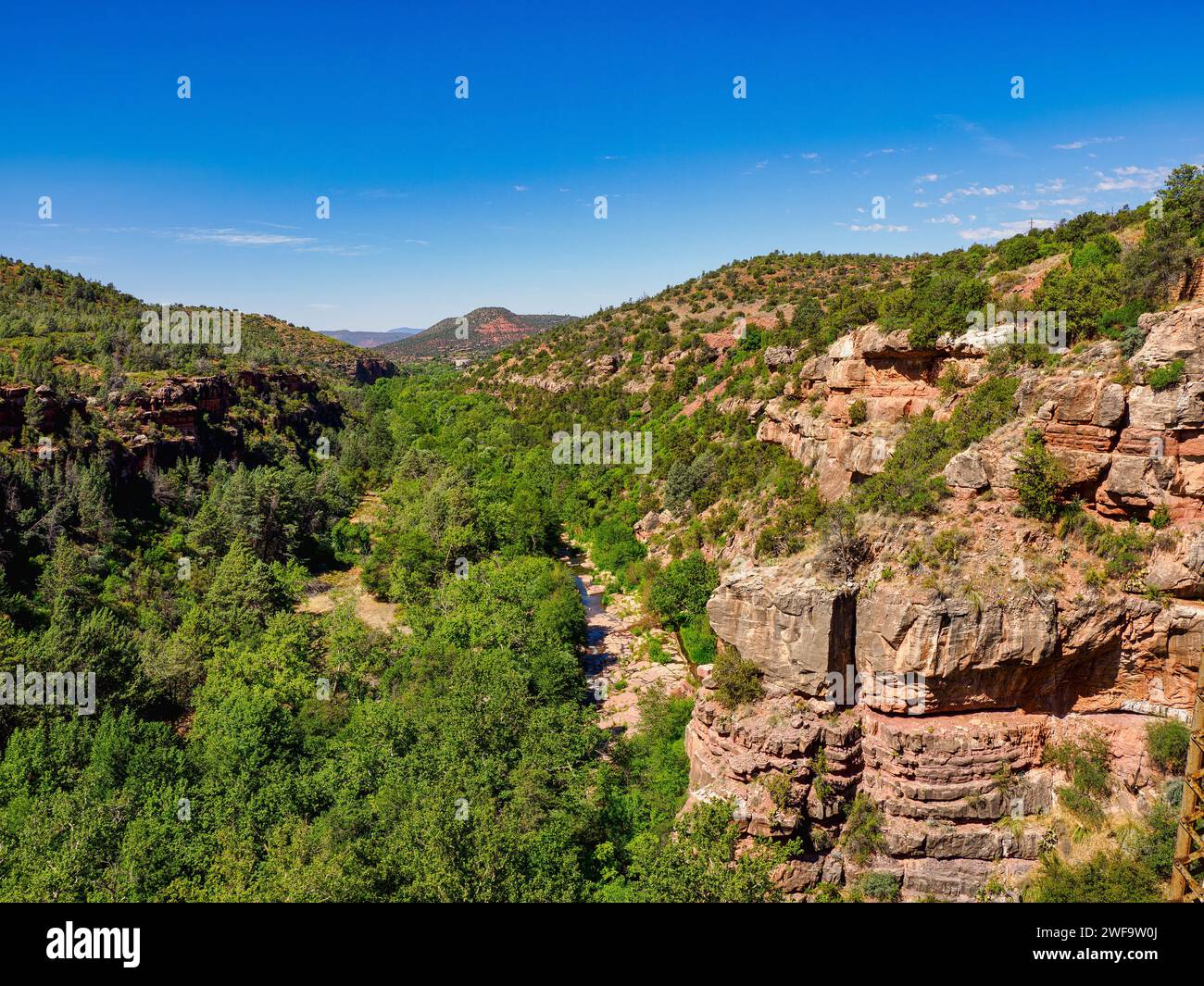 Un paysage à couper le souffle de montagnes imposantes enveloppées de forêts luxuriantes Banque D'Images