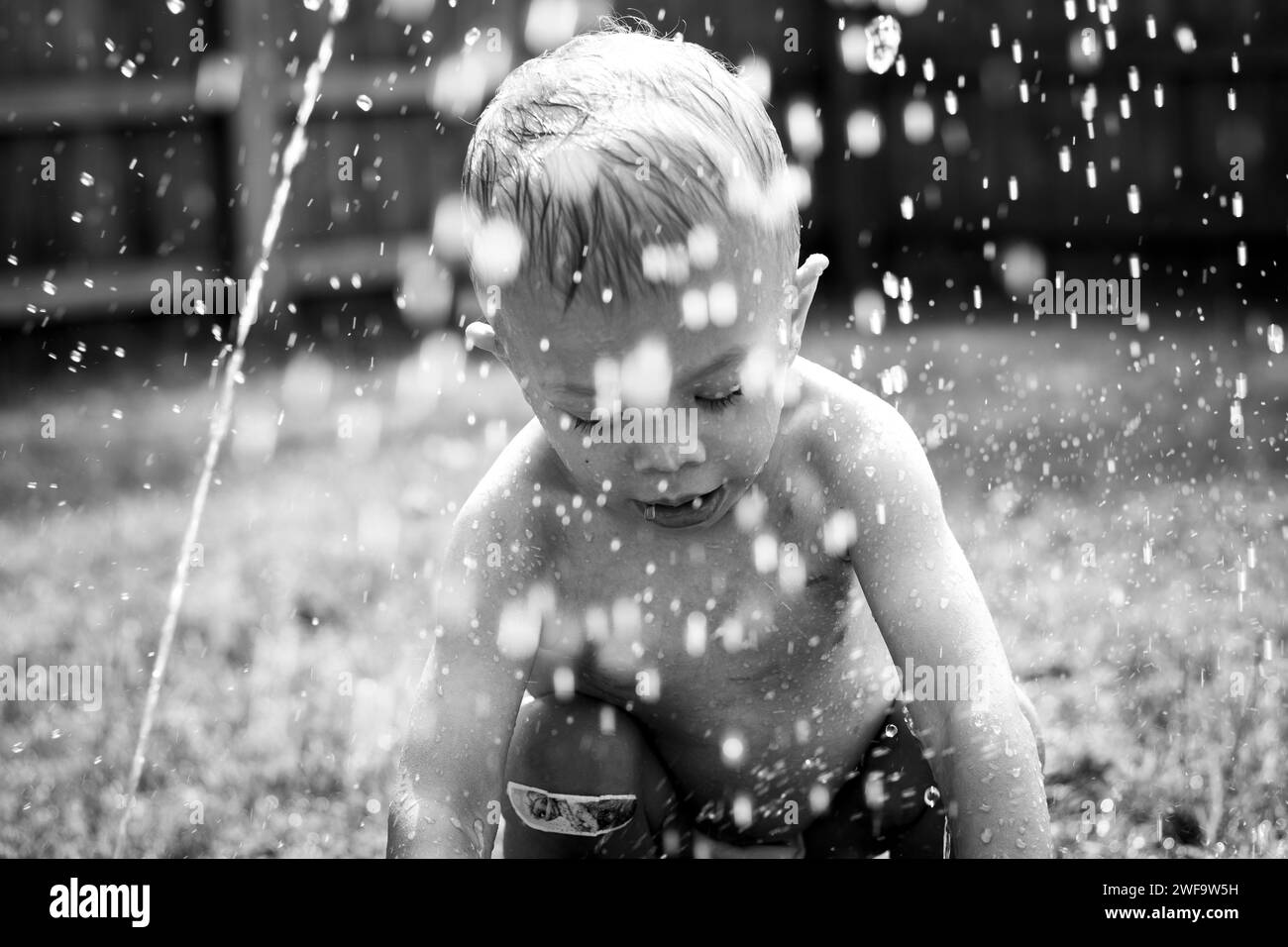 Jeux d'arrière-cour Banque D'Images