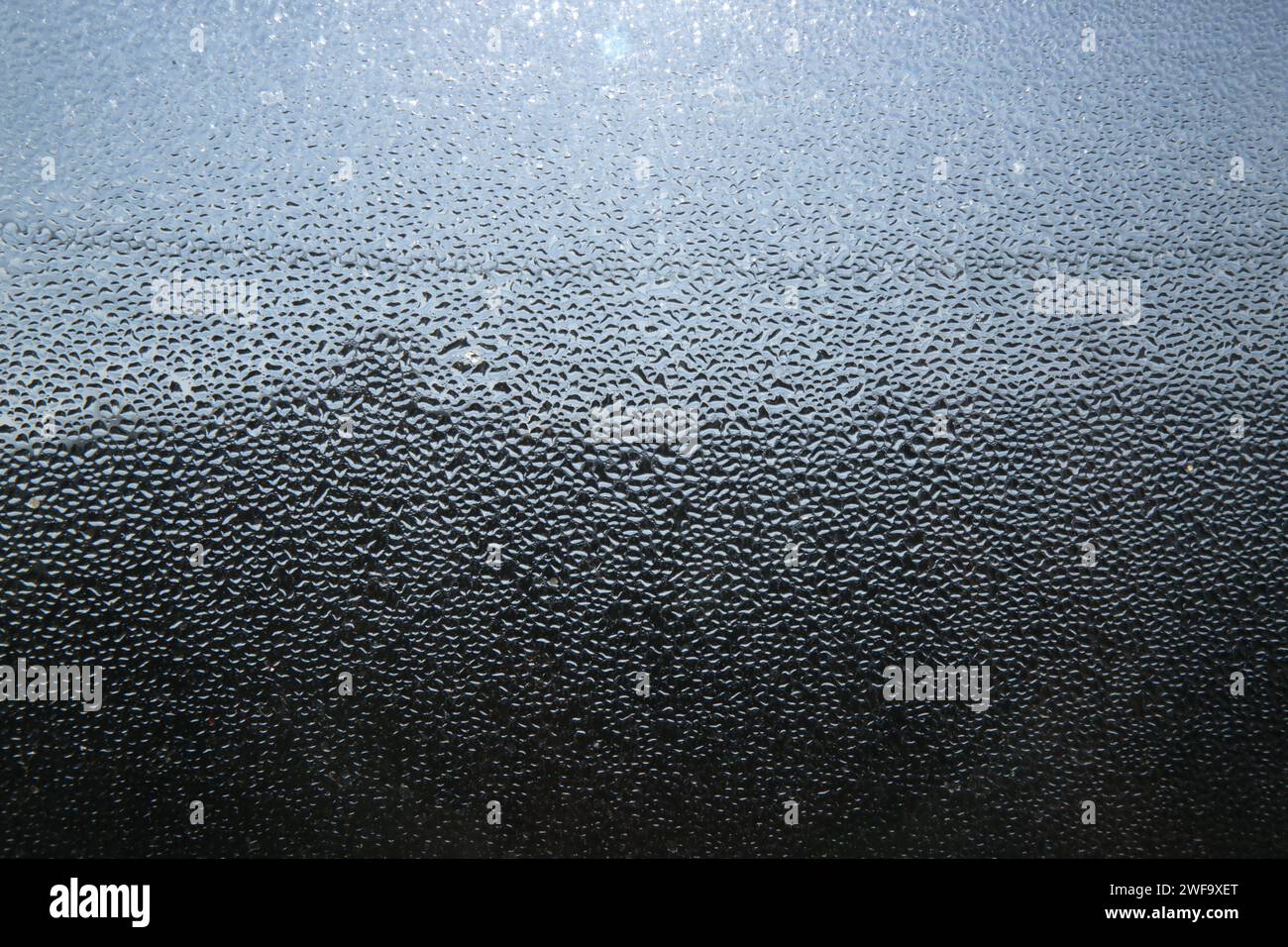 Gros plan de la condensation d'eau lourde sur la vitre pendant une matinée d'hiver. Banque D'Images