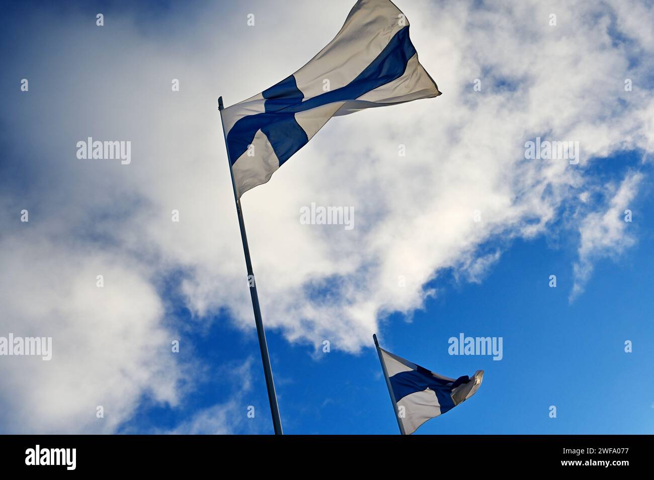 Brandissant les drapeaux nationaux de la Finlande le jour de l'indépendance finlandaise Banque D'Images