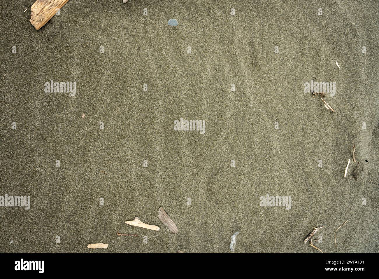 Morceaux de bois flotté dans l'image de fond de sable ondulant Banque D'Images