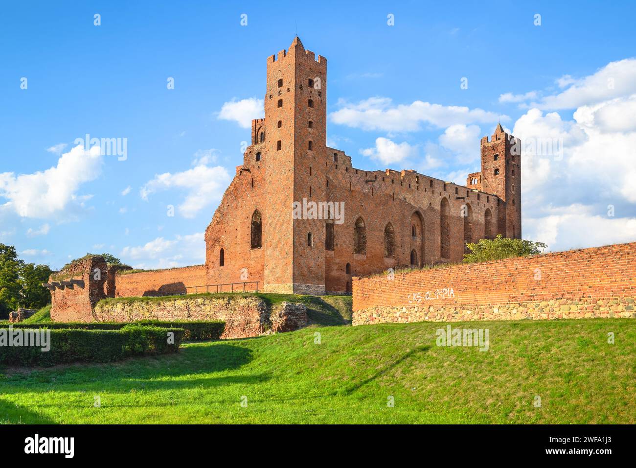 Ruines du château teutonique à Radzyń Chełmiński, Voïvodie de Kuyavie-Poméranie, Pologne. Banque D'Images