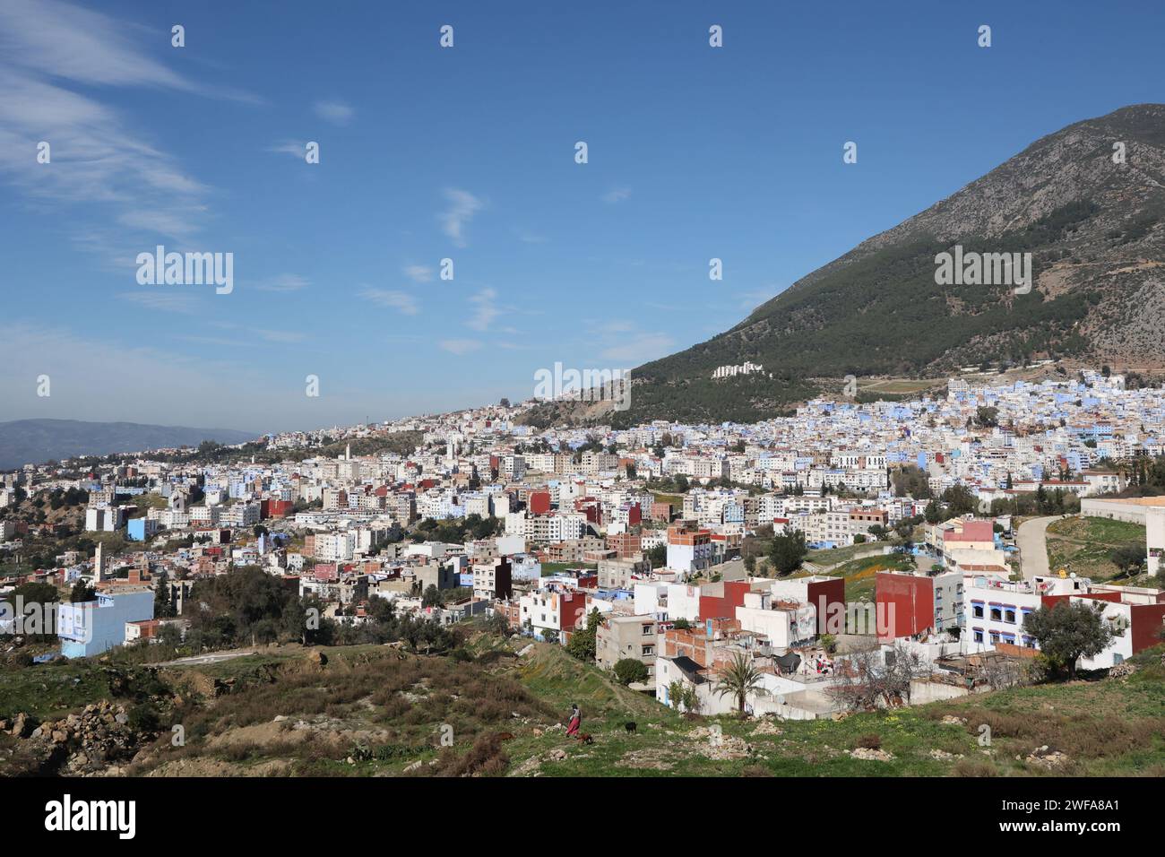 Chefchaouen. 29 janvier 2024. Cette photo prise le 29 janvier 2024 montre une vue de Chefchaouen, au Maroc. Chefchaouen, connue comme la «ville bleue» pour ses murs colorés et ses ruelles, est une destination touristique dans le nord du Maroc. Crédit : Huo Jing/Xinhua/Alamy Live News Banque D'Images